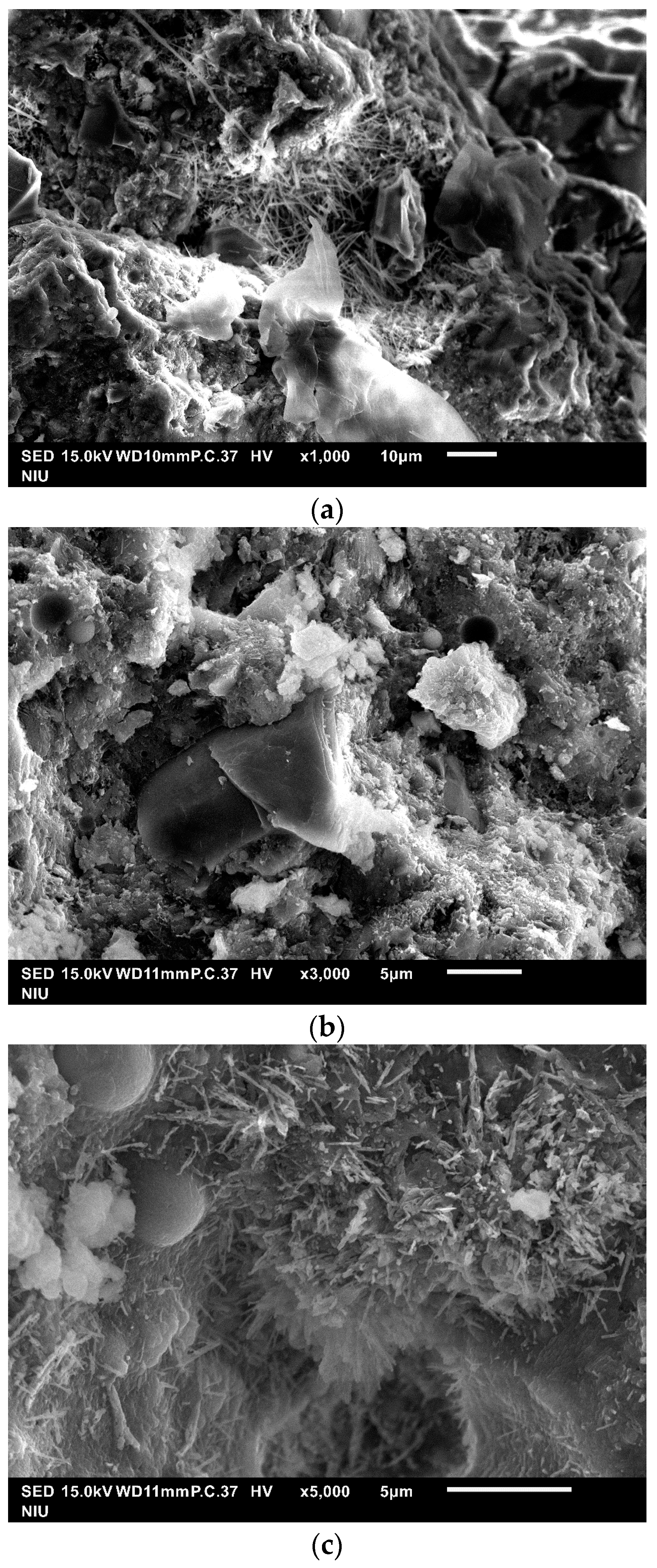 Crystals 11 01040 g012 550