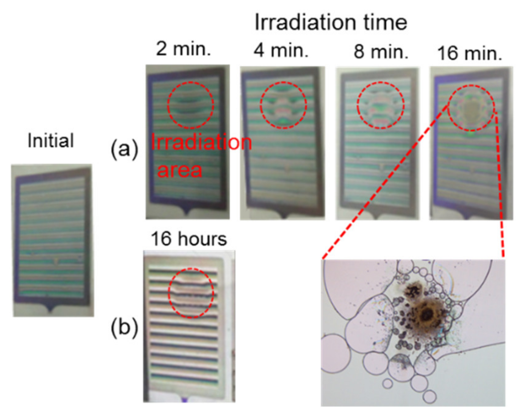 Crystals 11 01047 g005