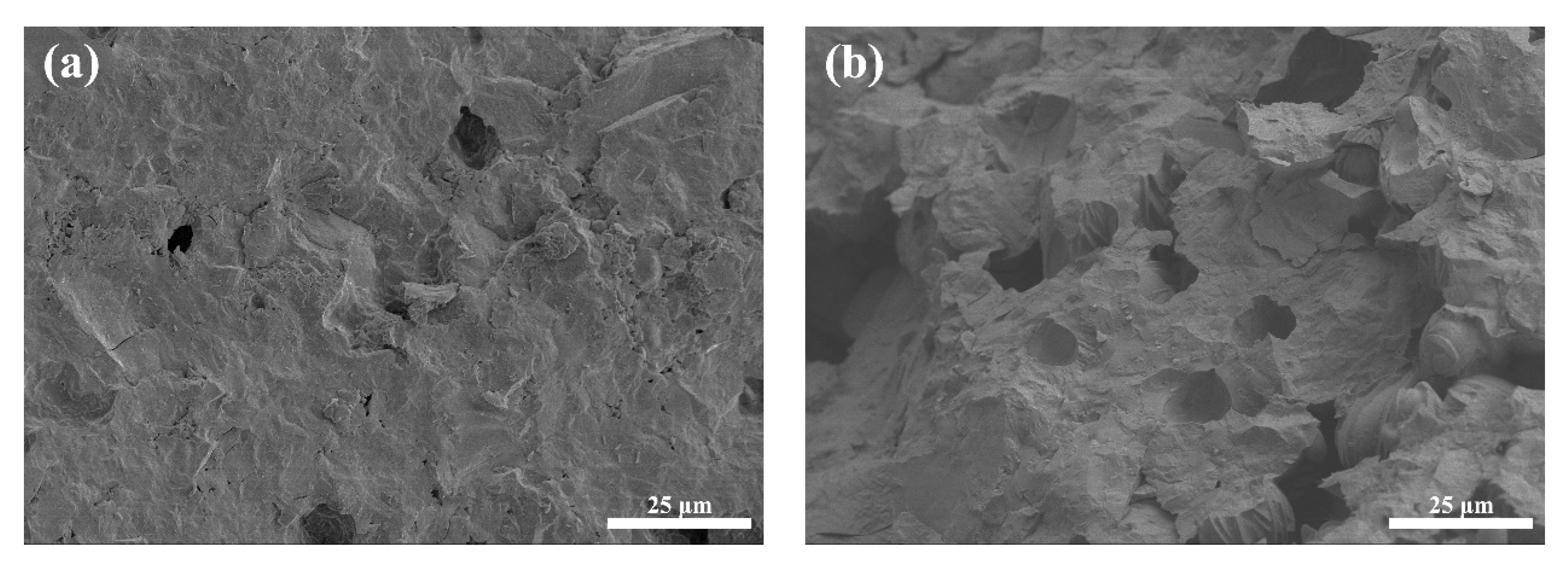 Crystals 11 01051 g004 Crystals 11 01051 g004