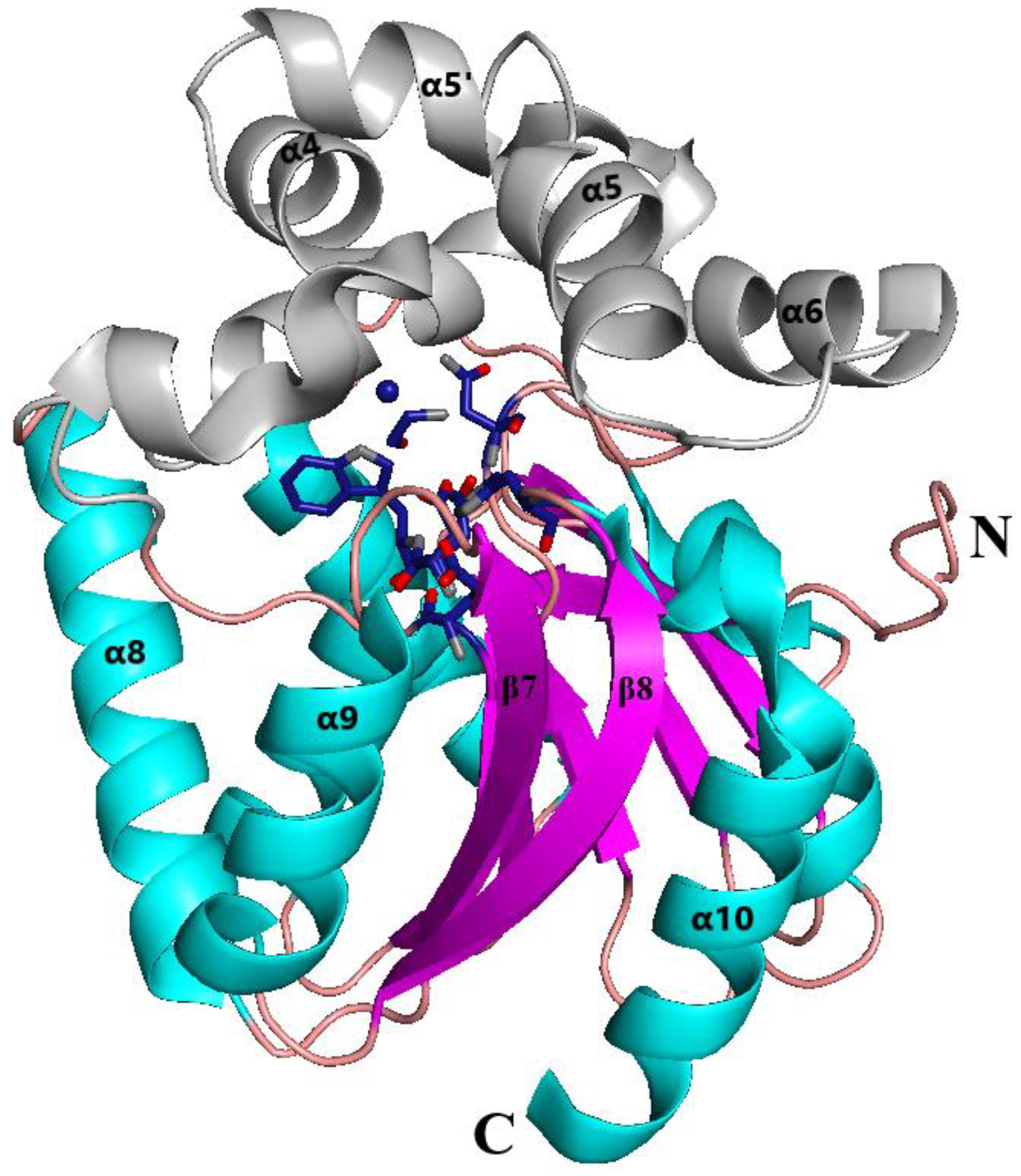 Crystals 11 01052 g001 550