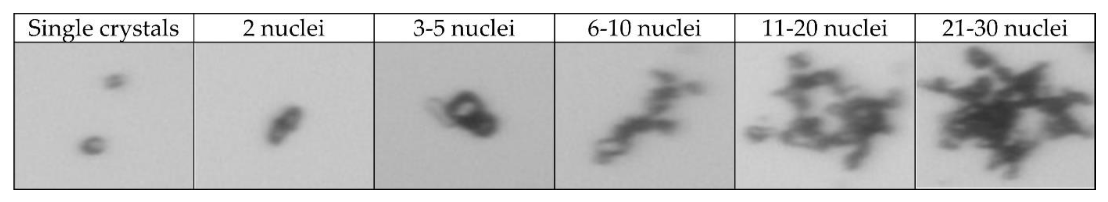 Crystals 11 01054 g002