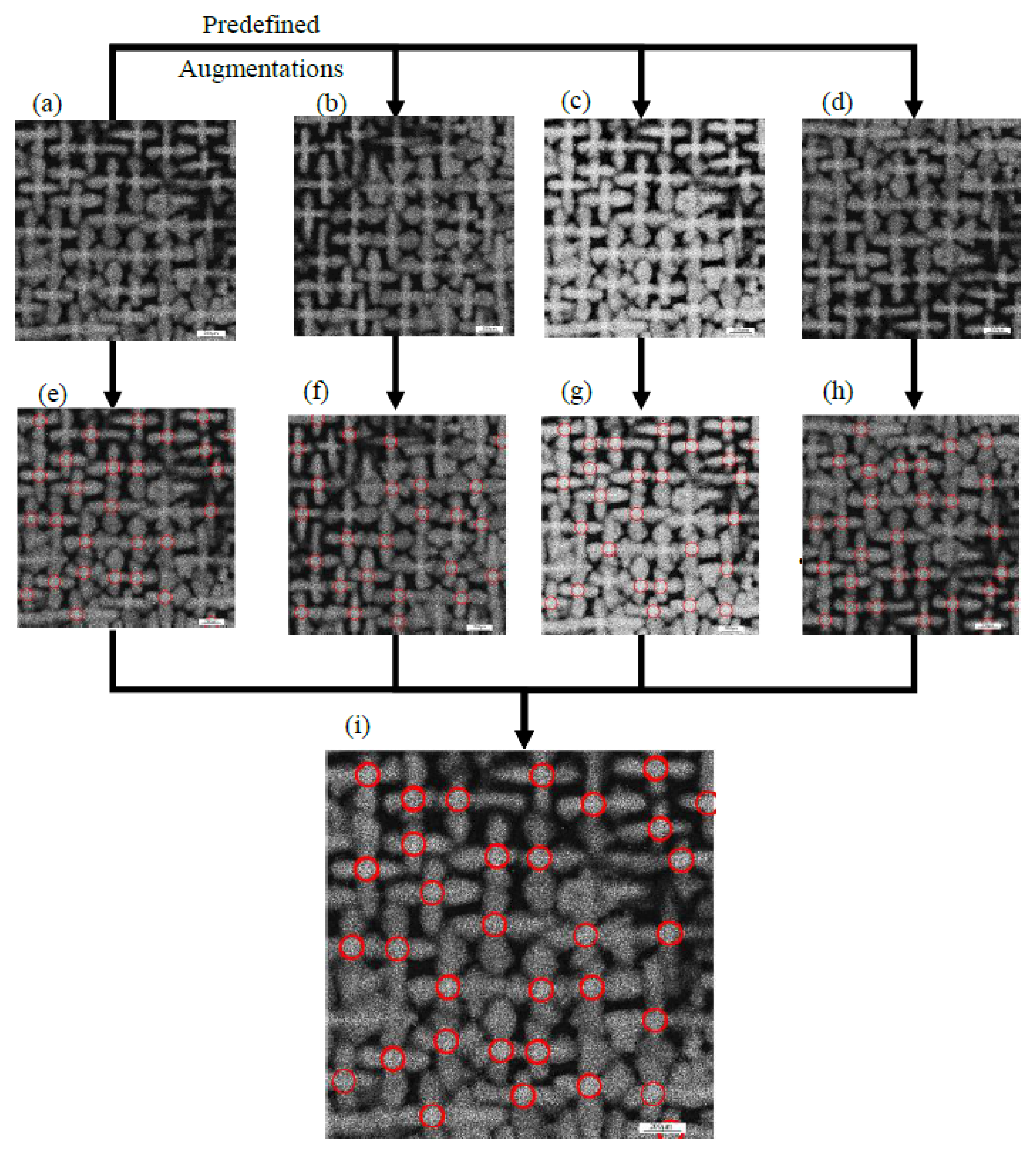 Crystals 11 01060 g005