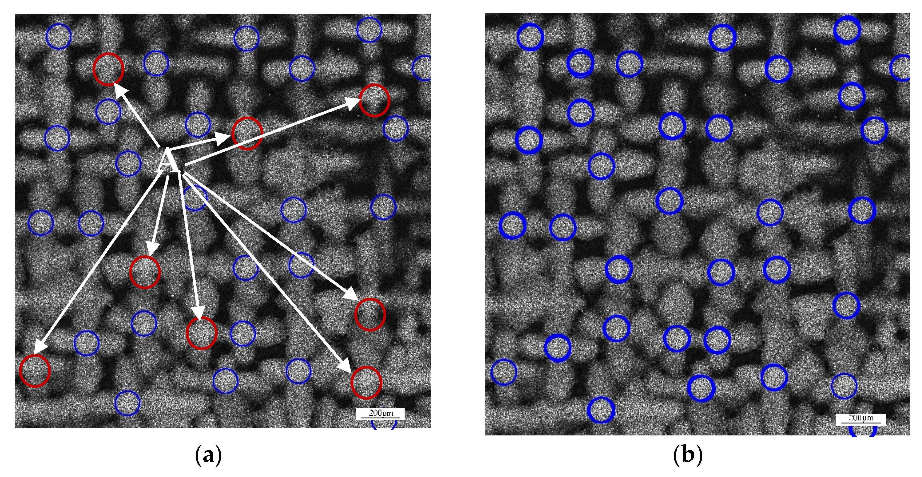 Crystals 11 01060 g007