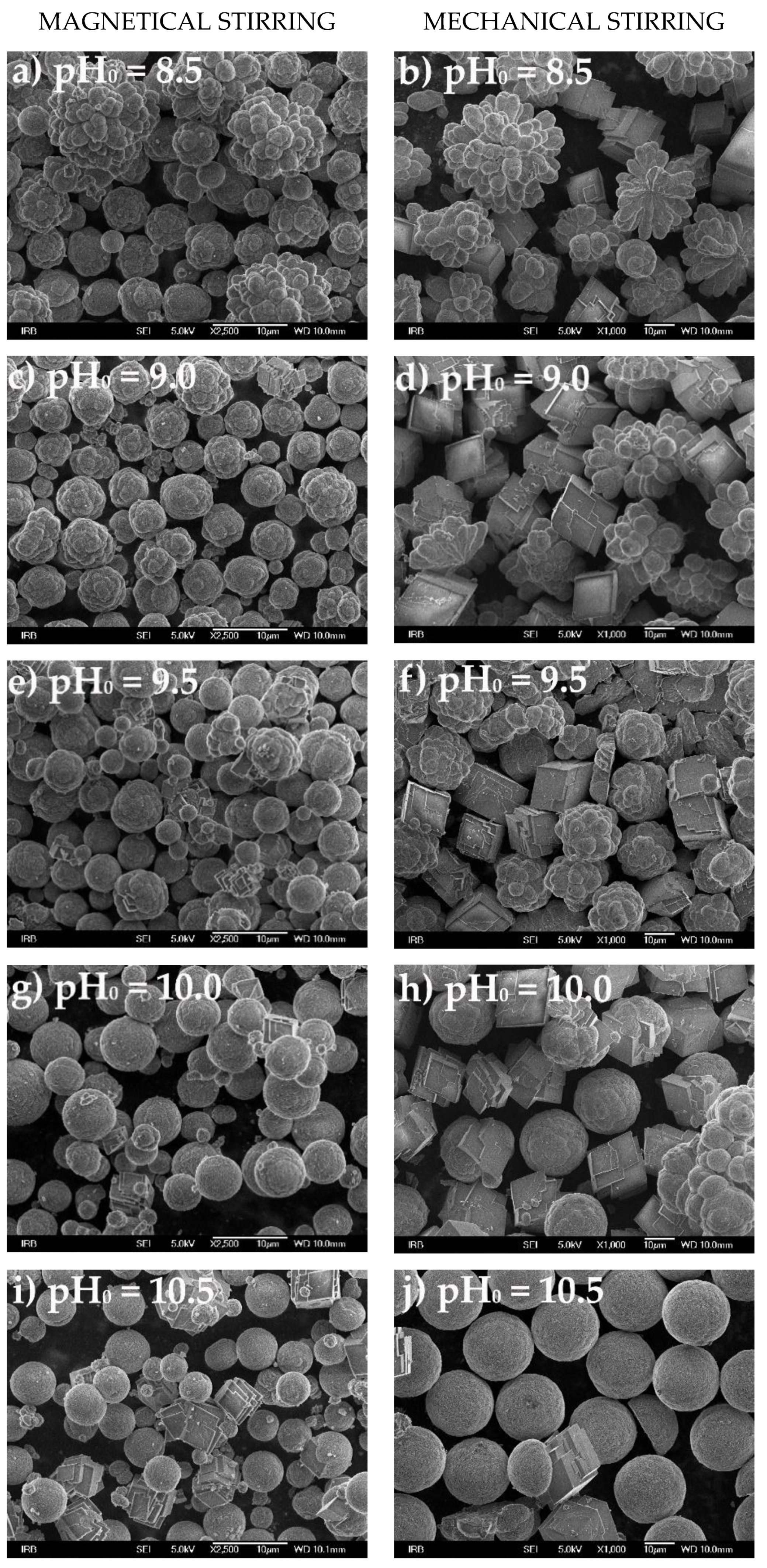 Crystals 11 01075 g004