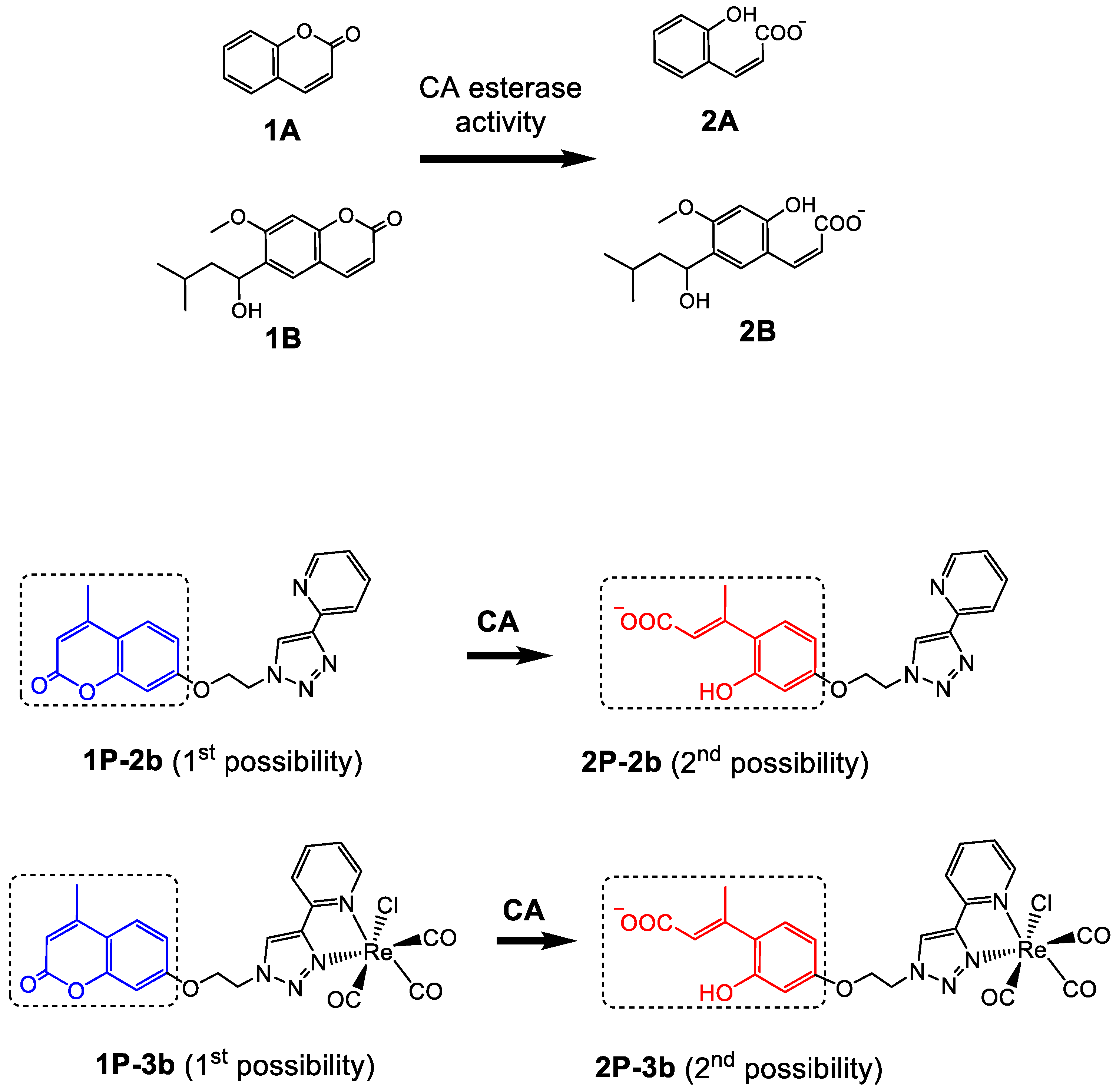 Crystals 11 01076 g002 550
