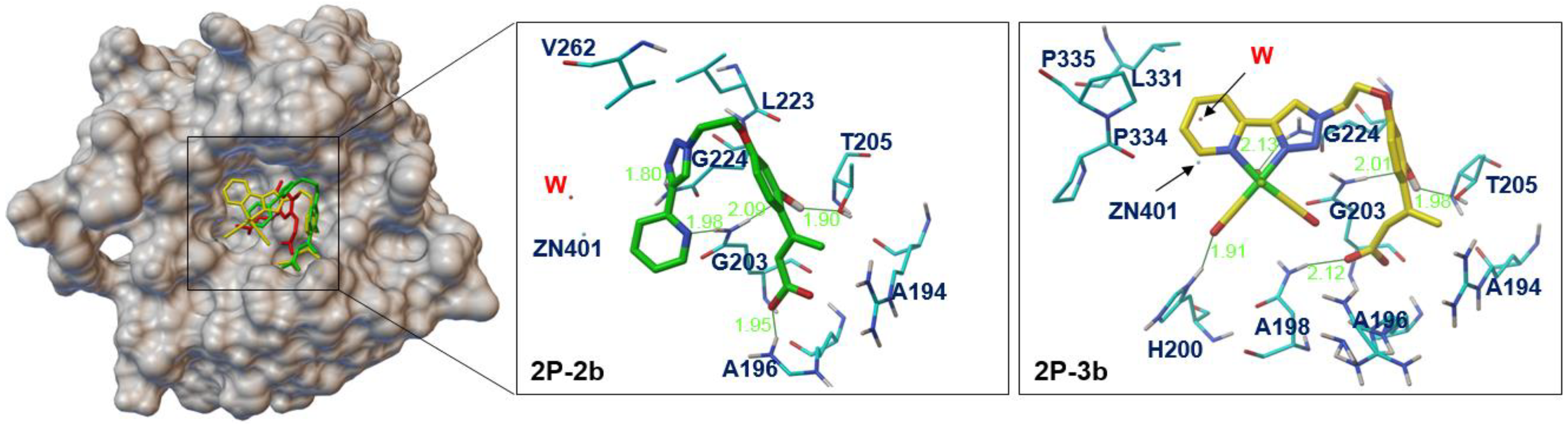 Crystals 11 01076 g004 550