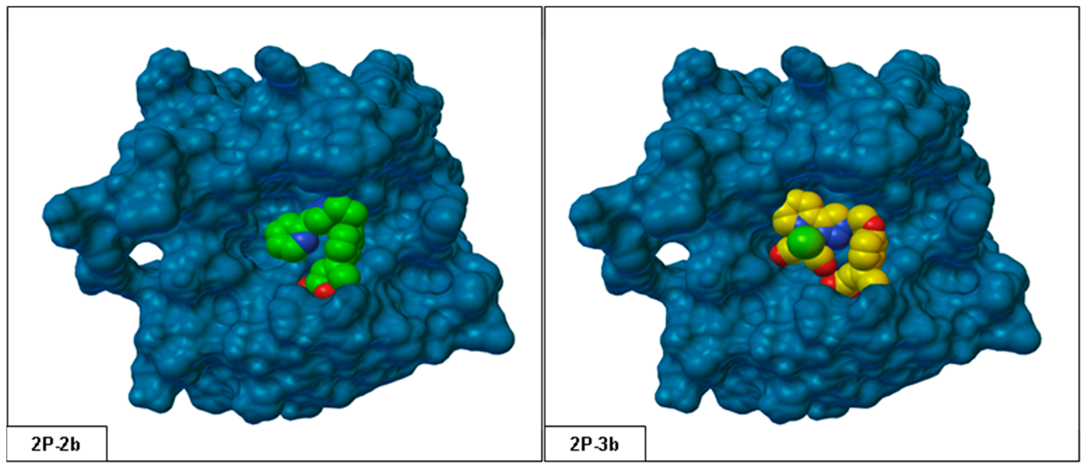 Crystals 11 01076 g005 550
