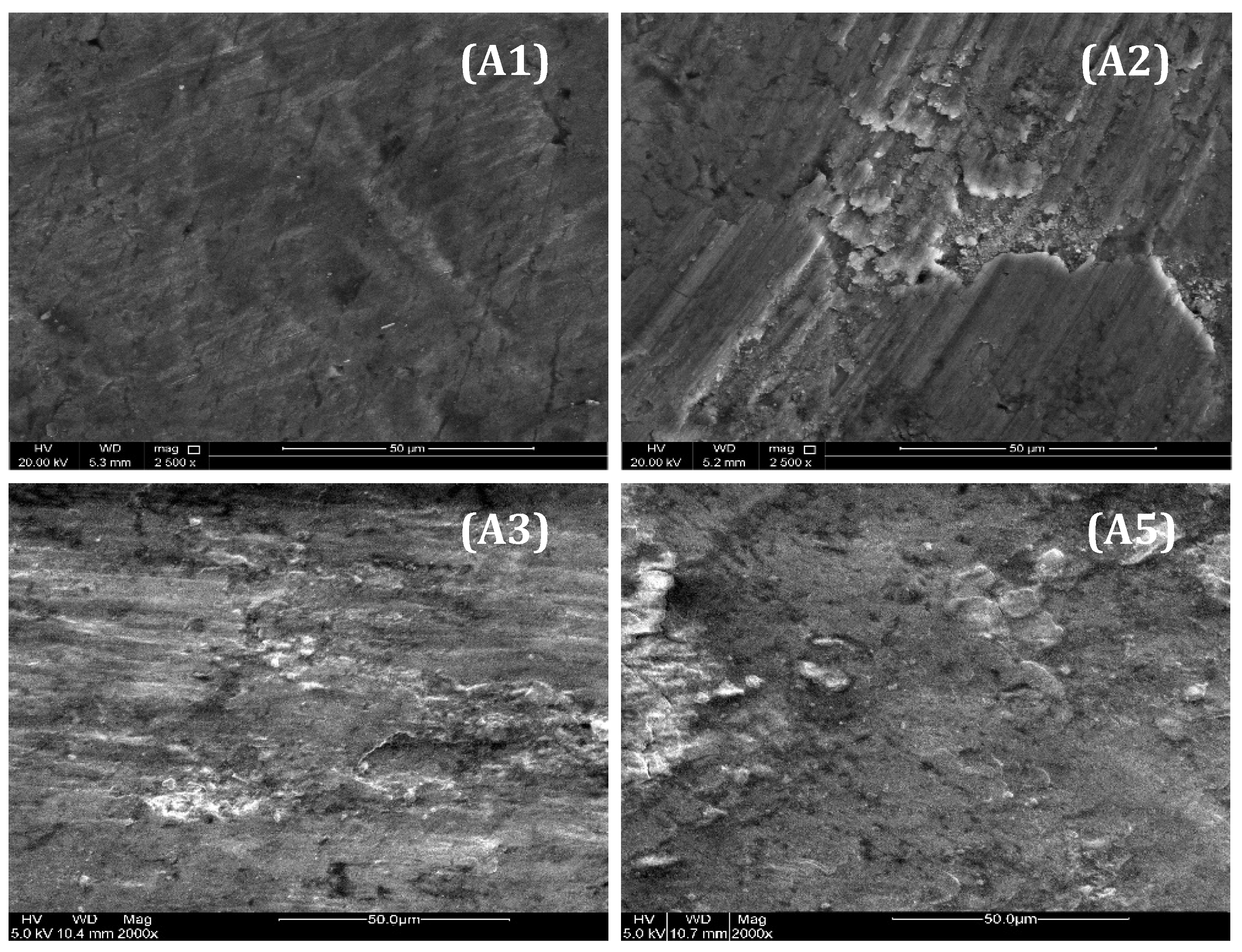 Crystals 11 01078 g011 Crystals 11 01078 g011