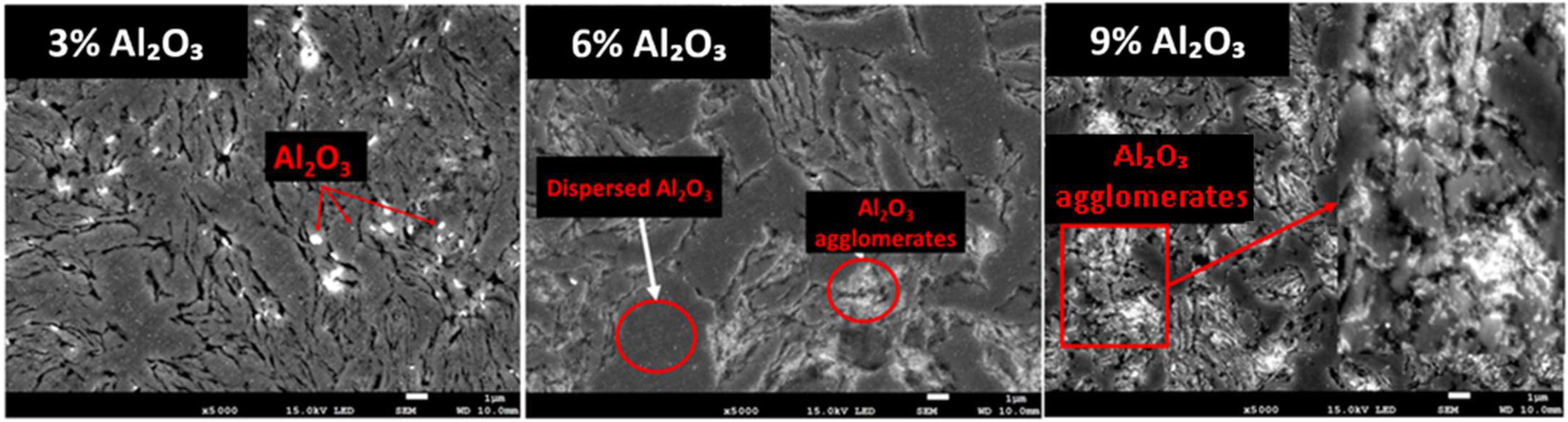 Crystals 11 01081 g006