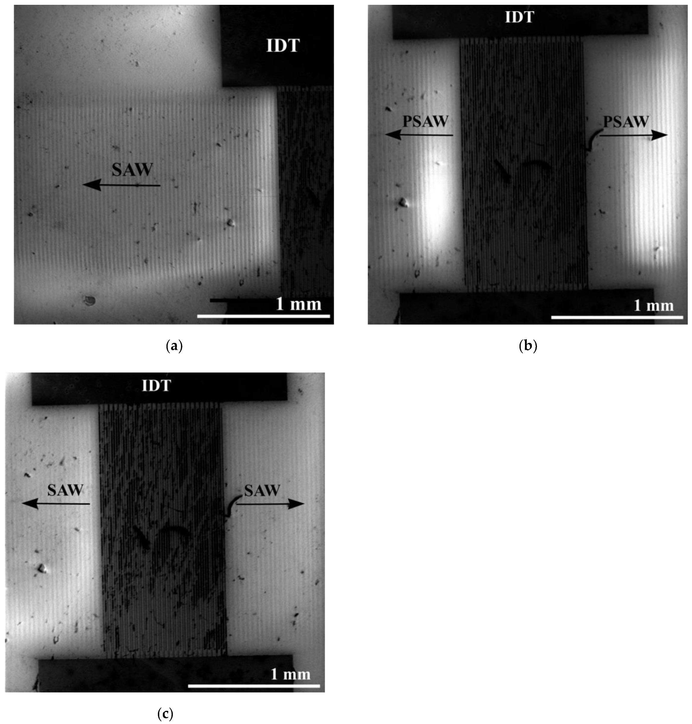 Crystals 11 01082 g004 550