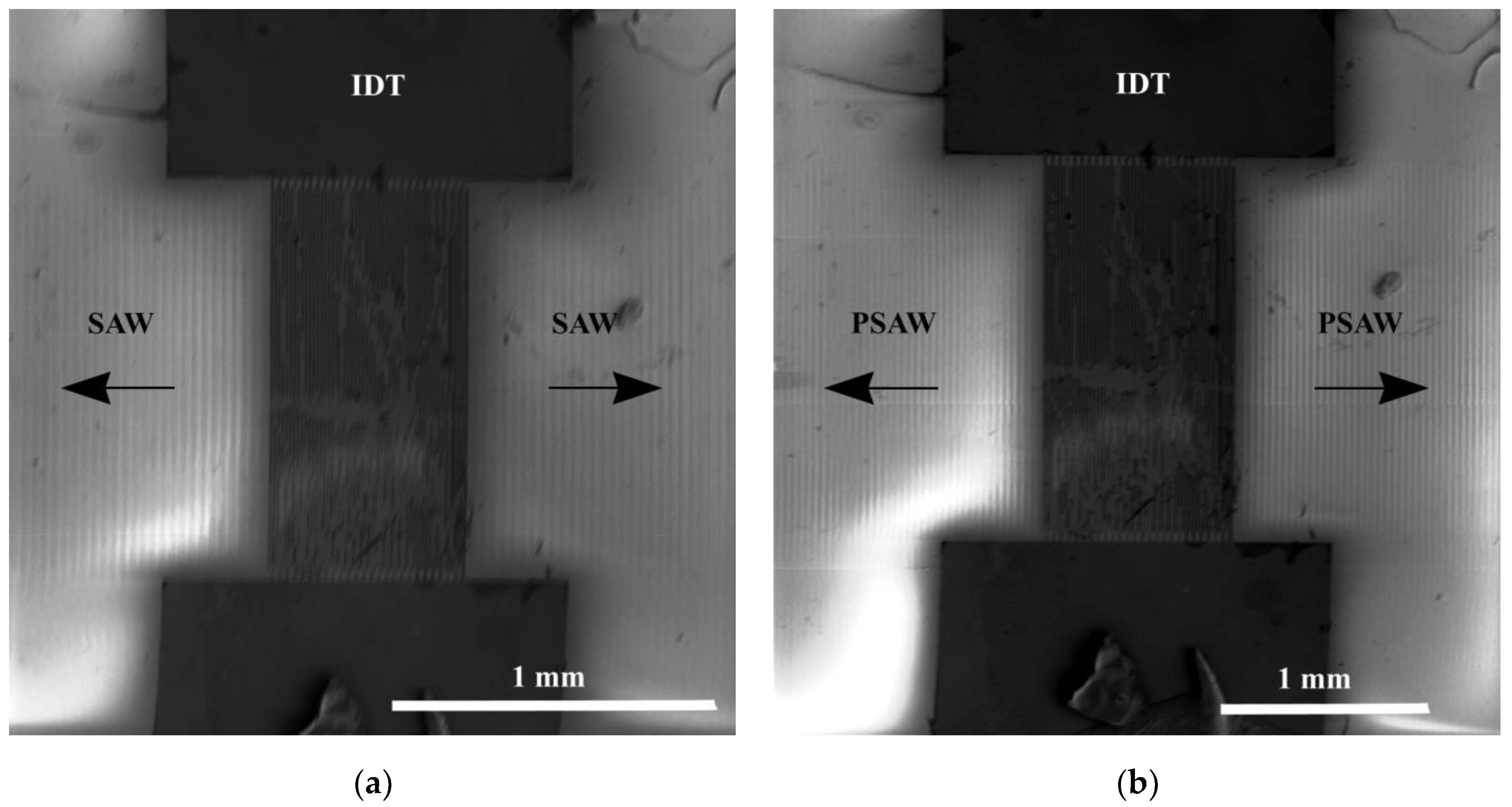 Crystals 11 01082 g005 550