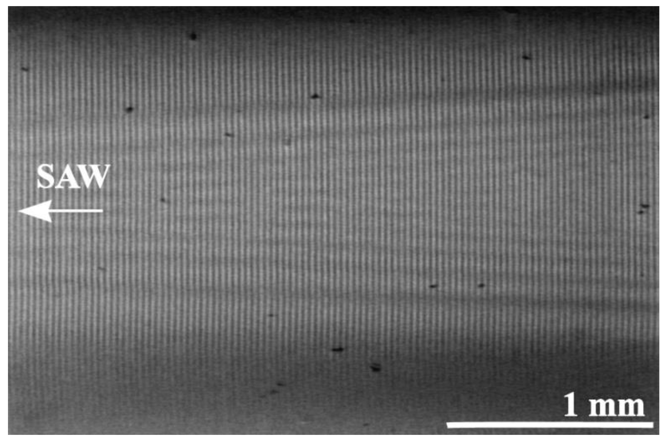 Crystals 11 01082 g006 550