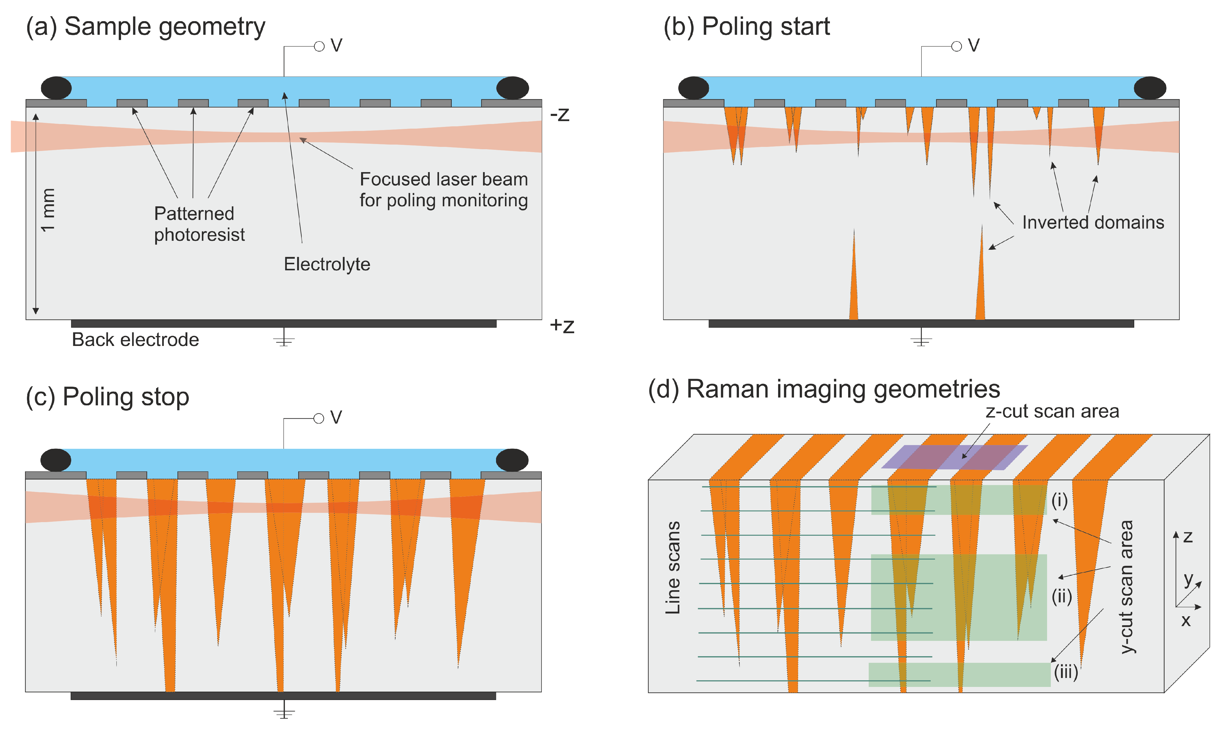 Crystals 11 01086 g001 550