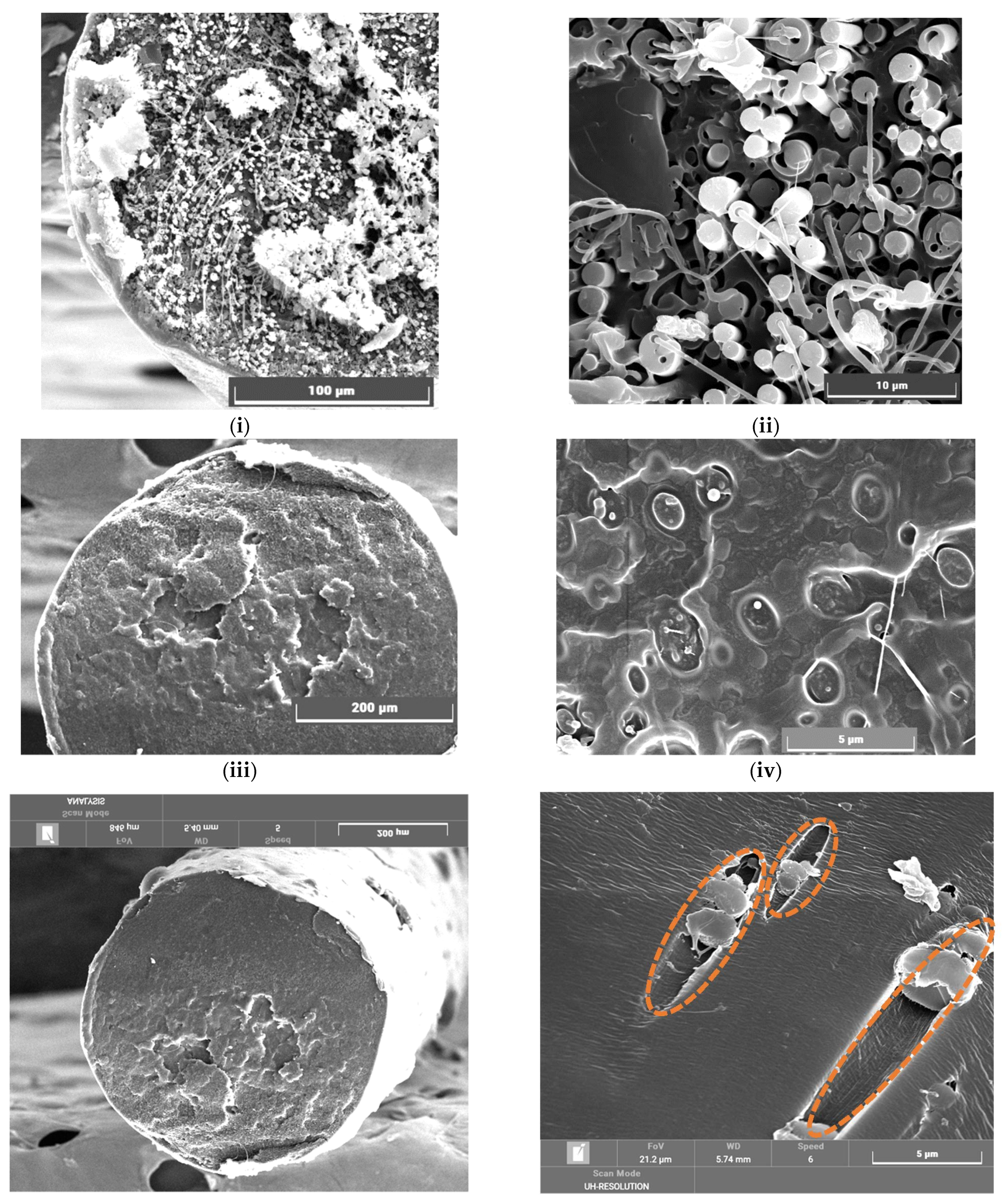 Crystals 11 01099 g004a 550