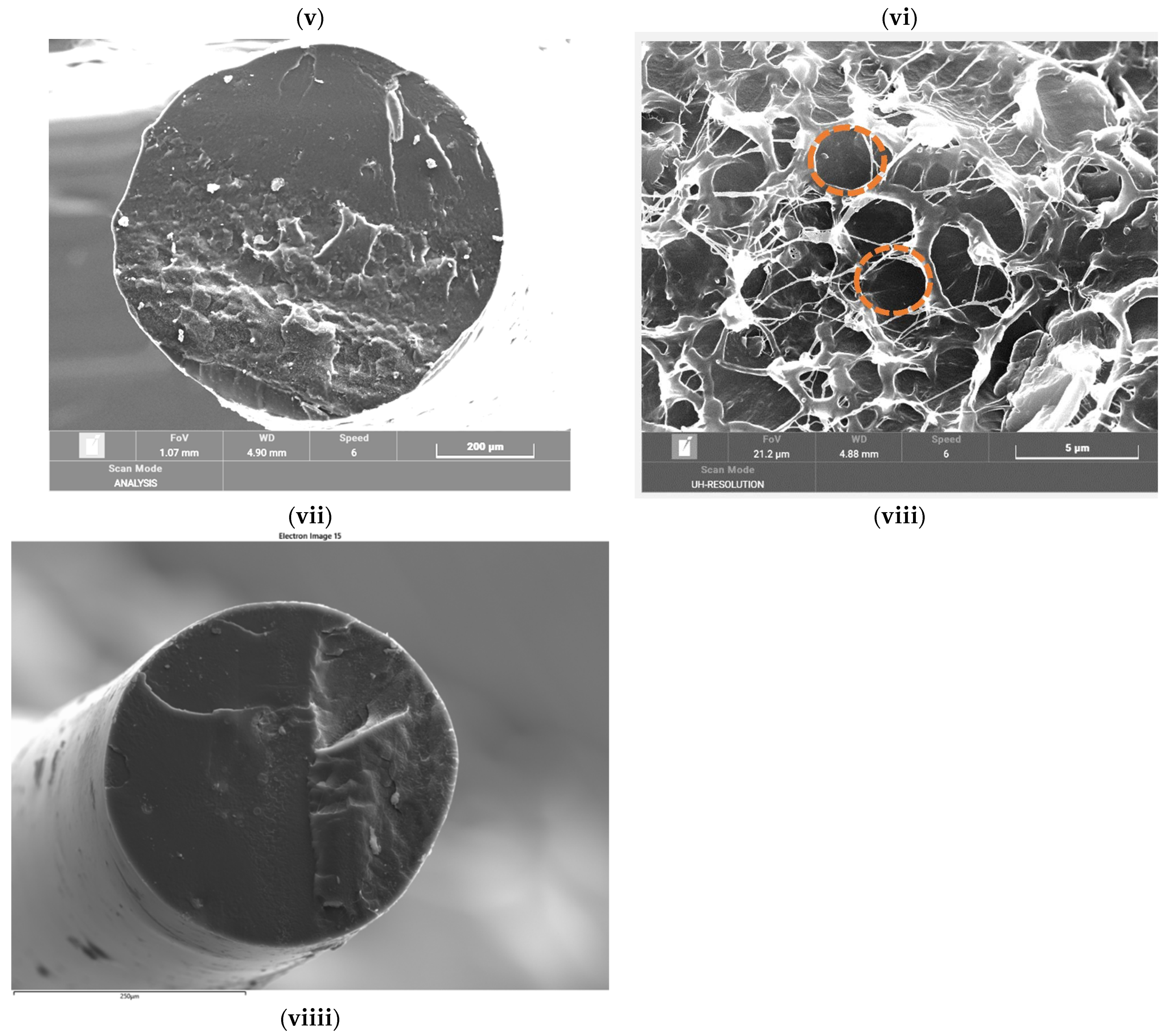 Crystals 11 01099 g004b 550