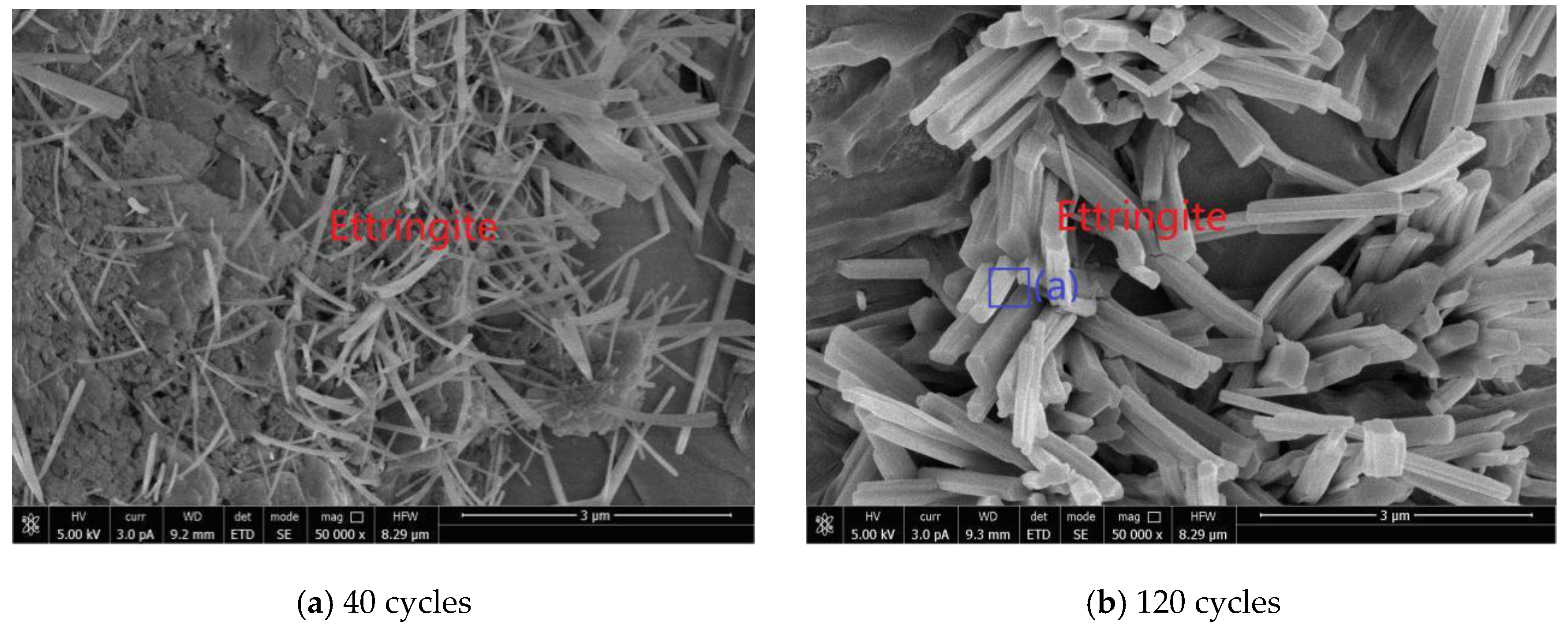 Crystals 11 01108 g021