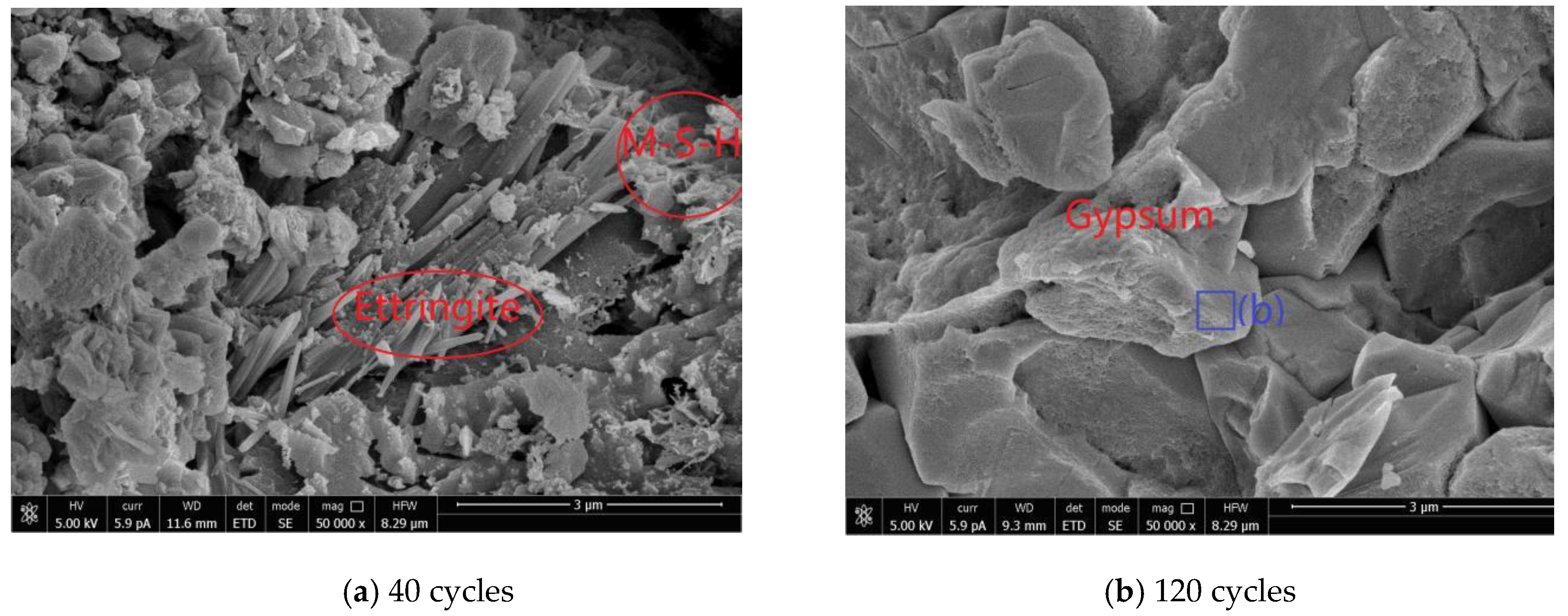 Crystals 11 01108 g022