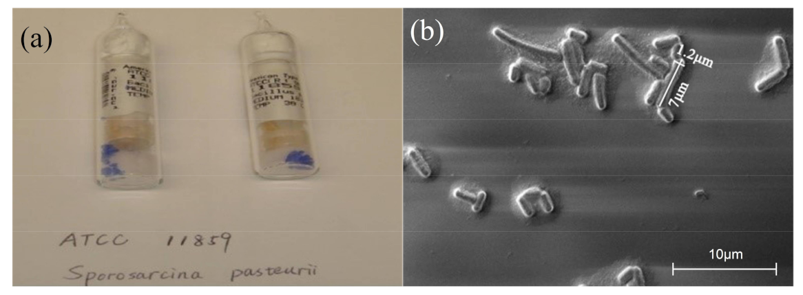 Crystals 11 01112 g001