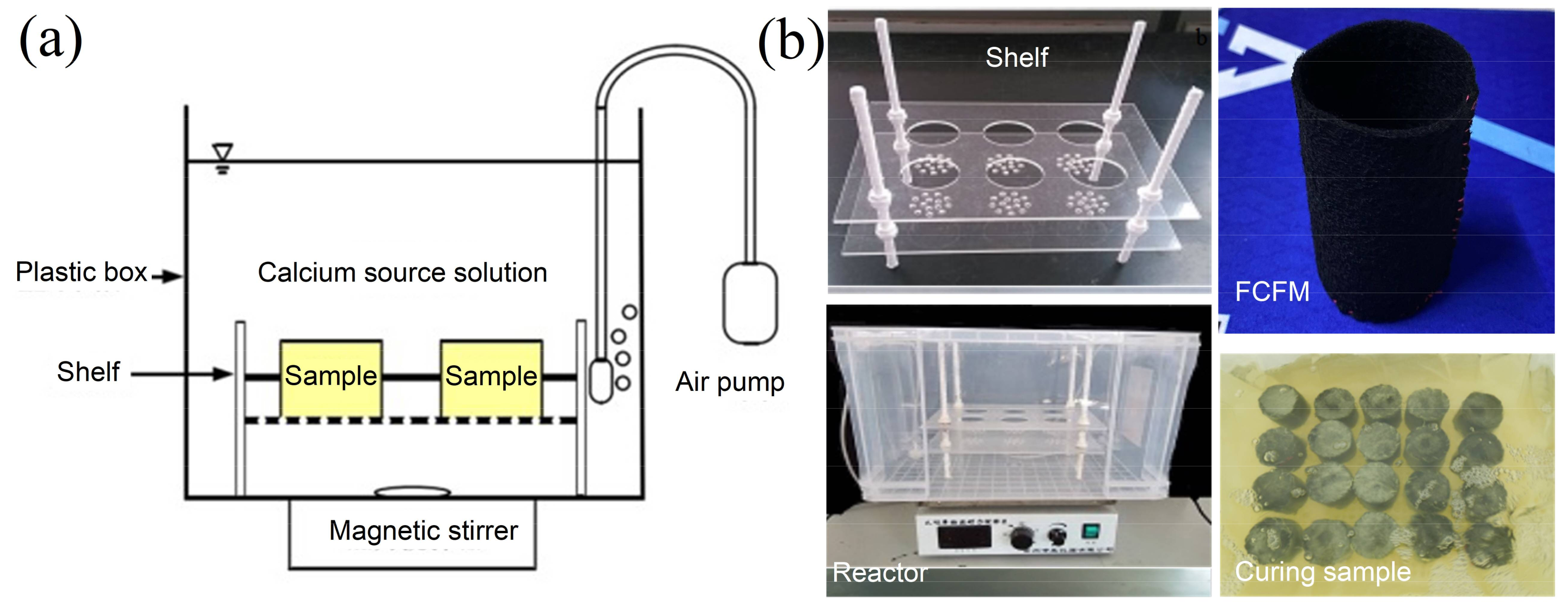 Crystals 11 01112 g005