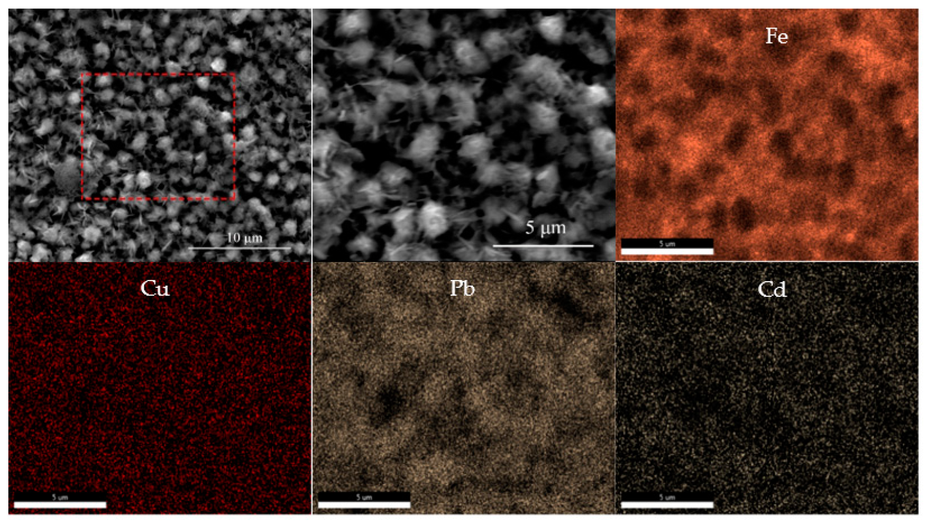 Crystals 11 01133 g007 550