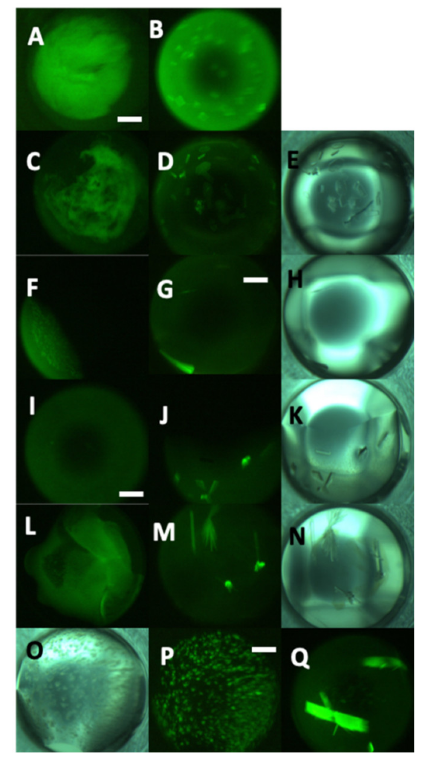 Crystals 11 01166 g004 Crystals 11 01166 g004