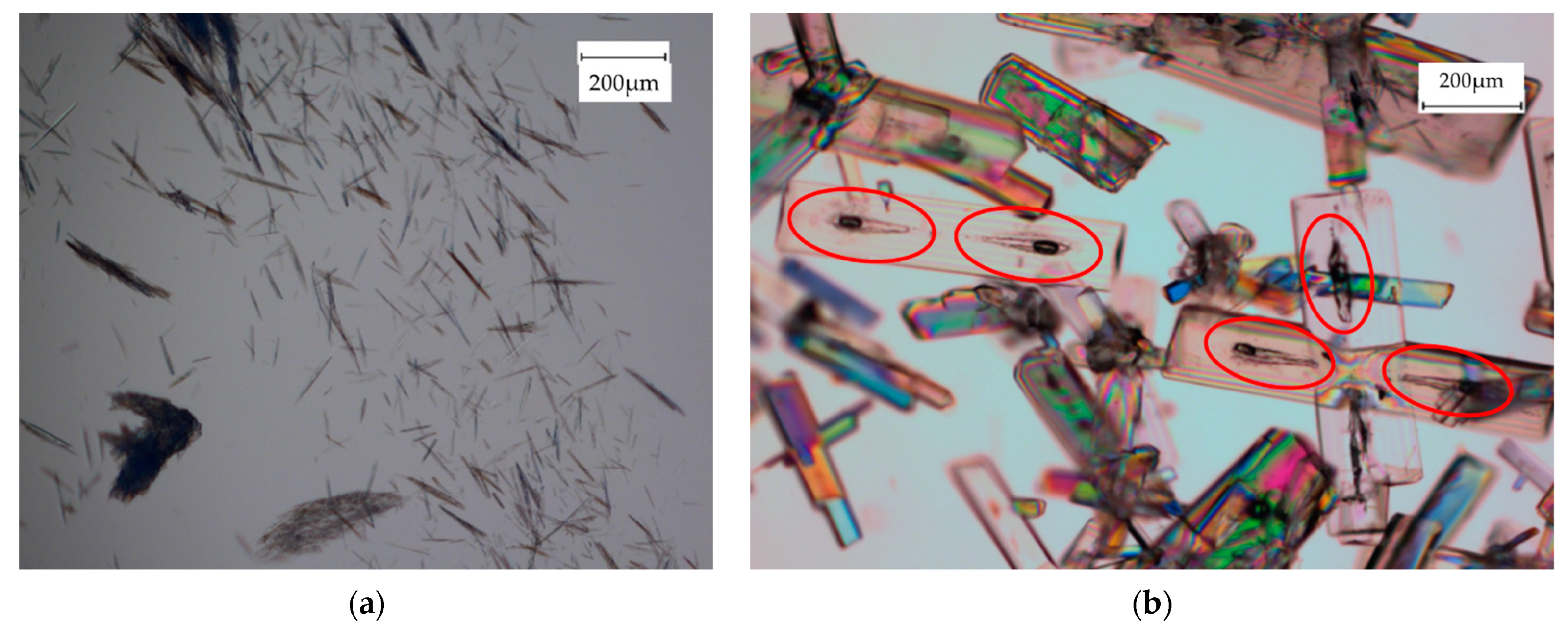 Crystals 11 01188 g002 550