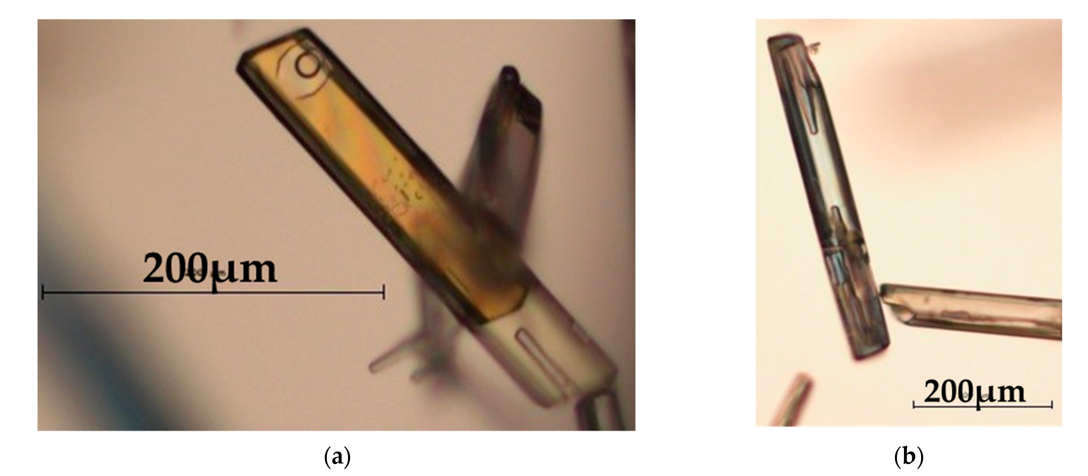 Crystals 11 01188 g009 550