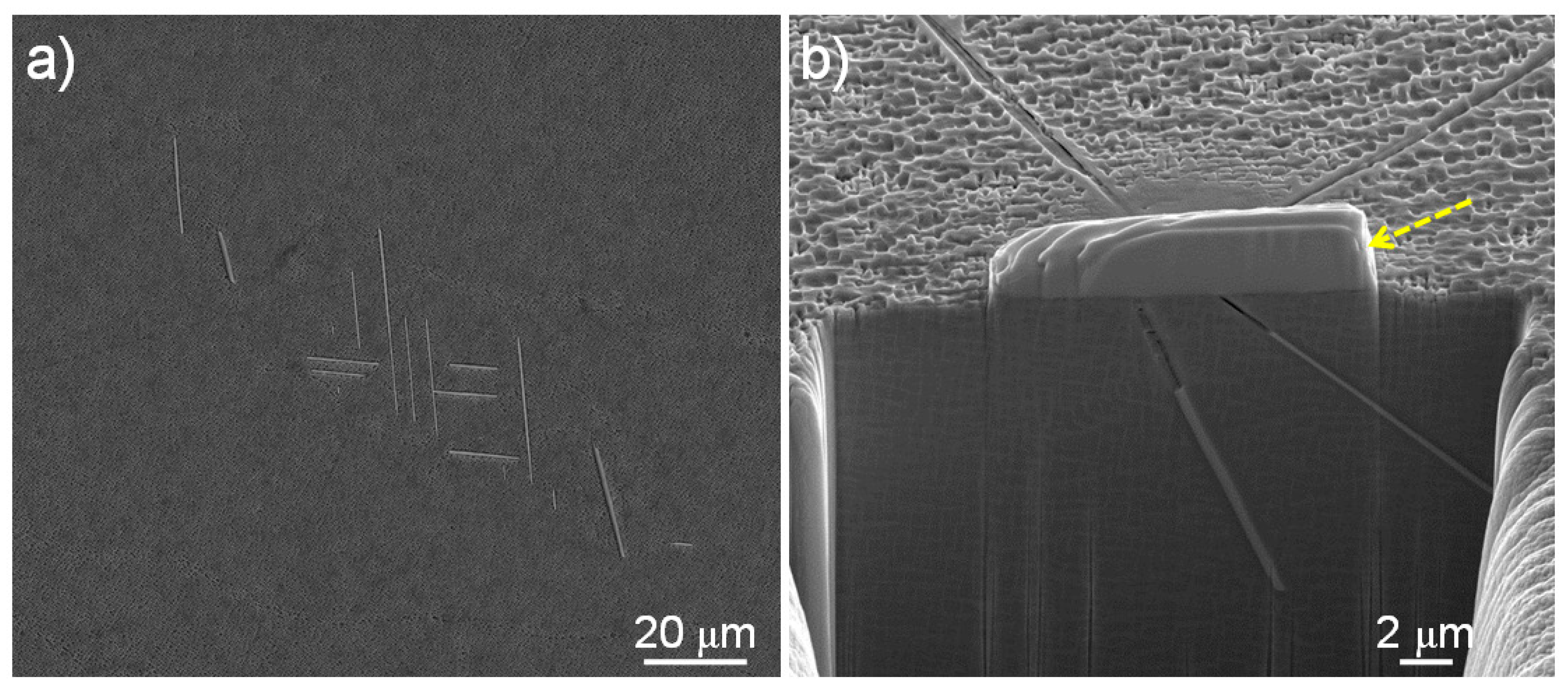 Crystals 11 01201 g007 550