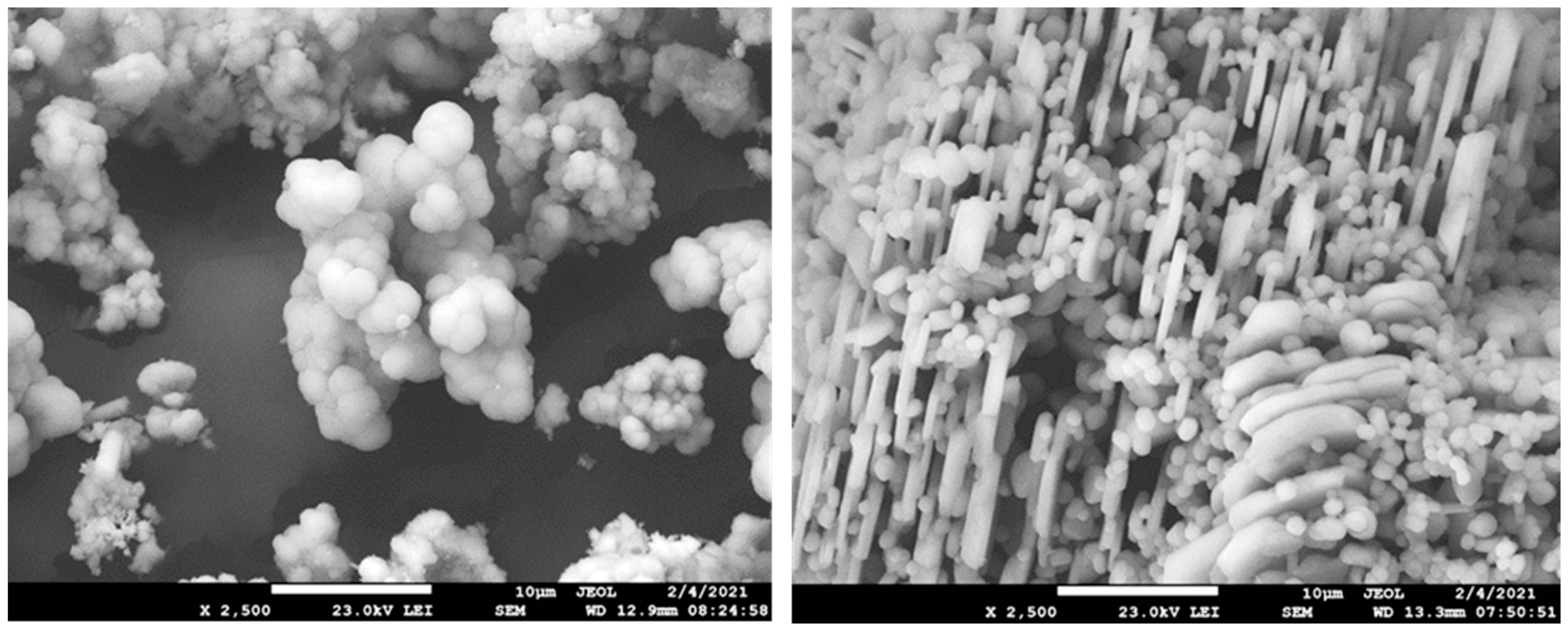 Crystals 11 01232 g001