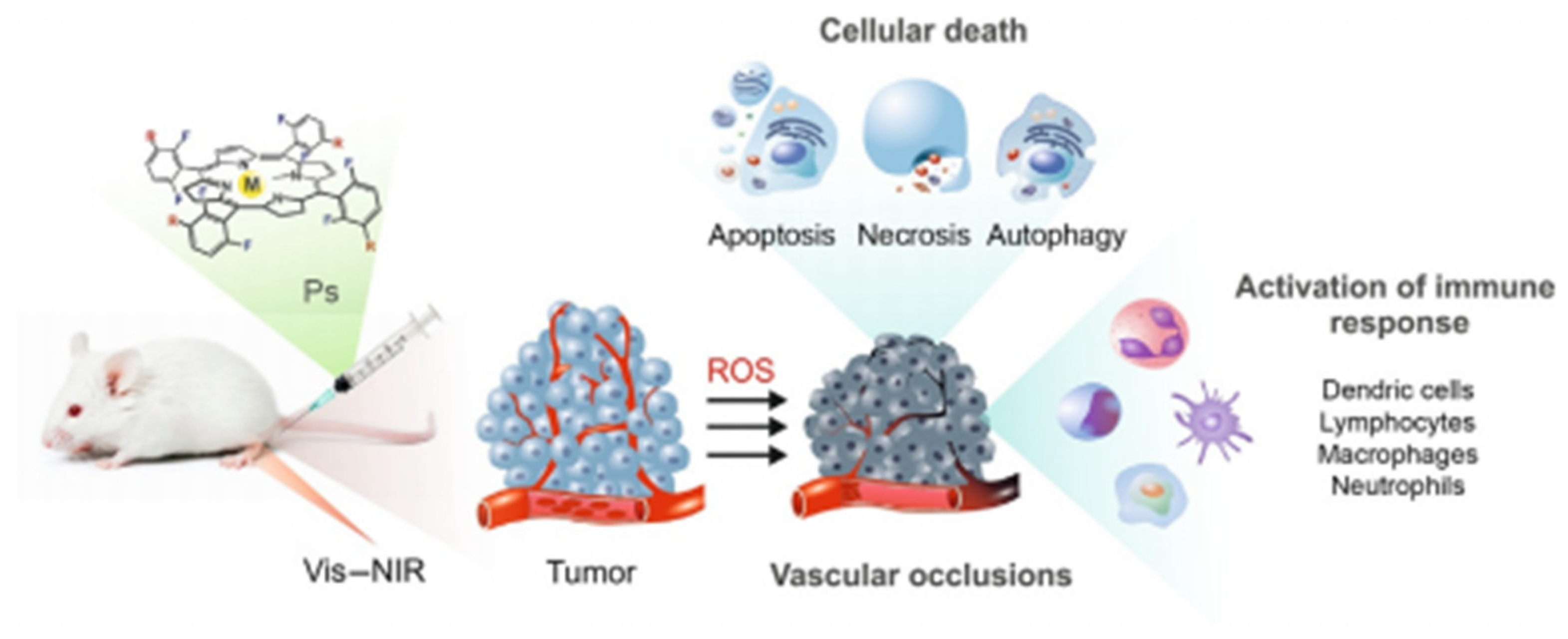 Crystals 11 01241 g001