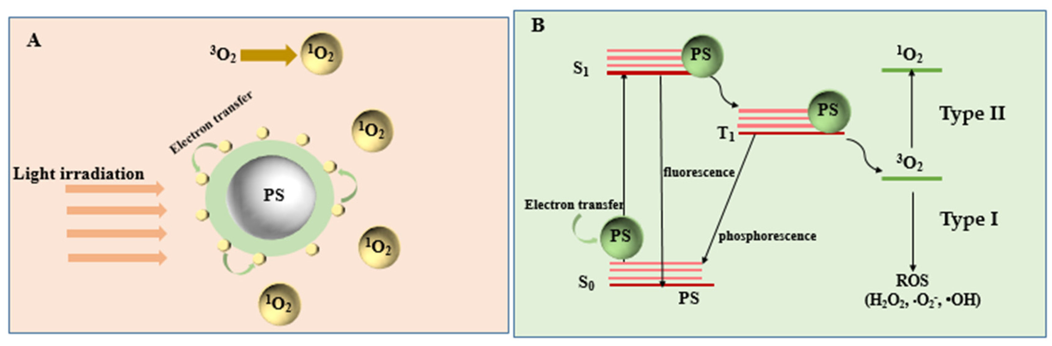 Crystals 11 01241 g002