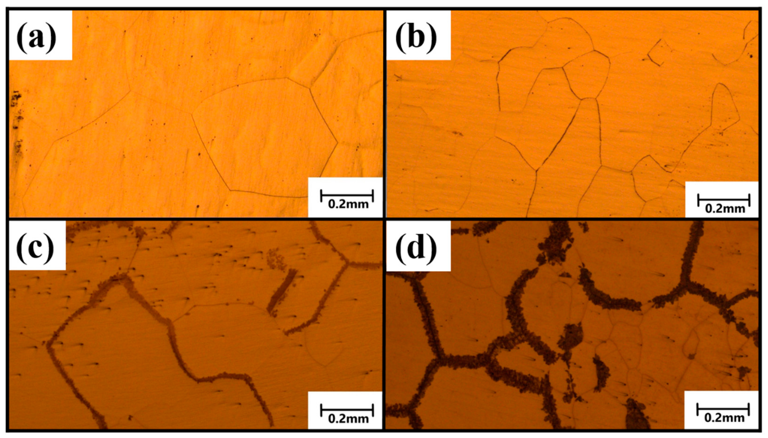 Crystals 11 01253 g003 550