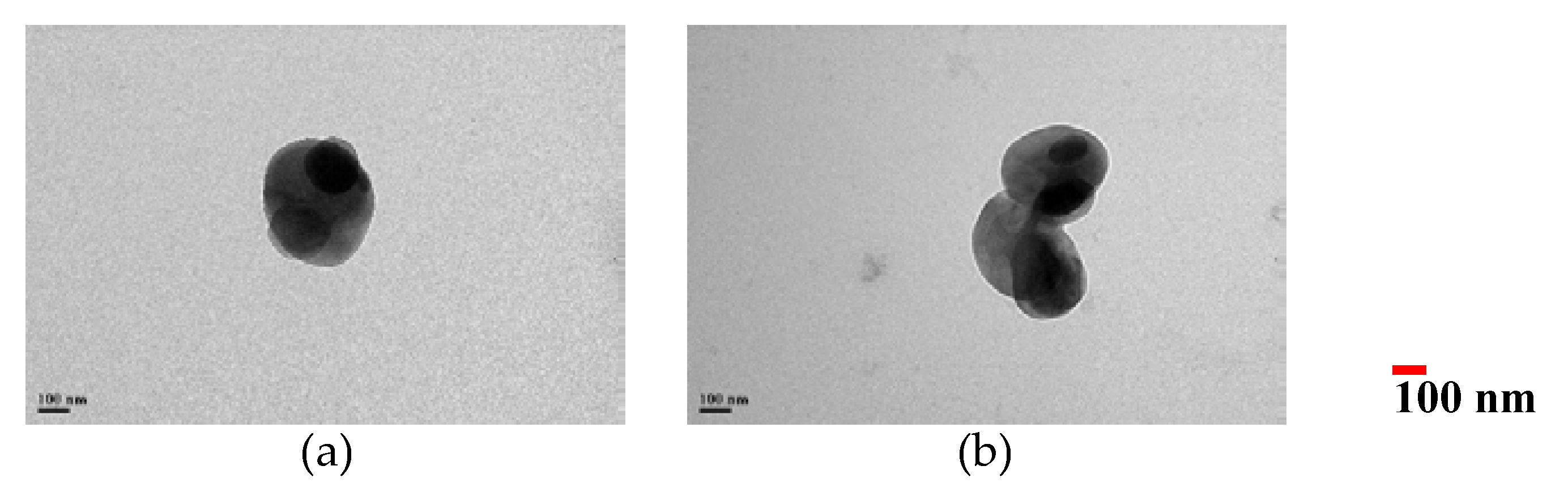 Crystals 11 01260 g002