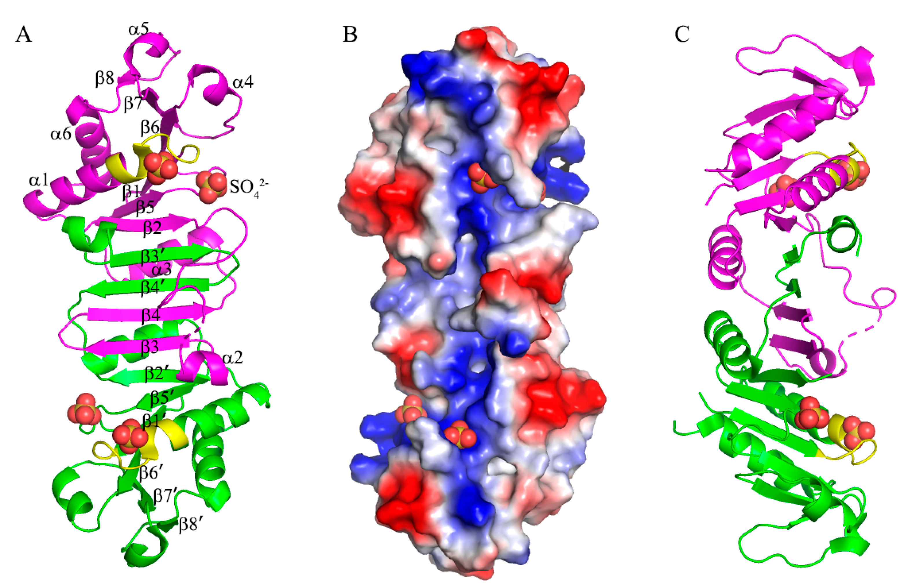 Crystals 11 01262 g002 550