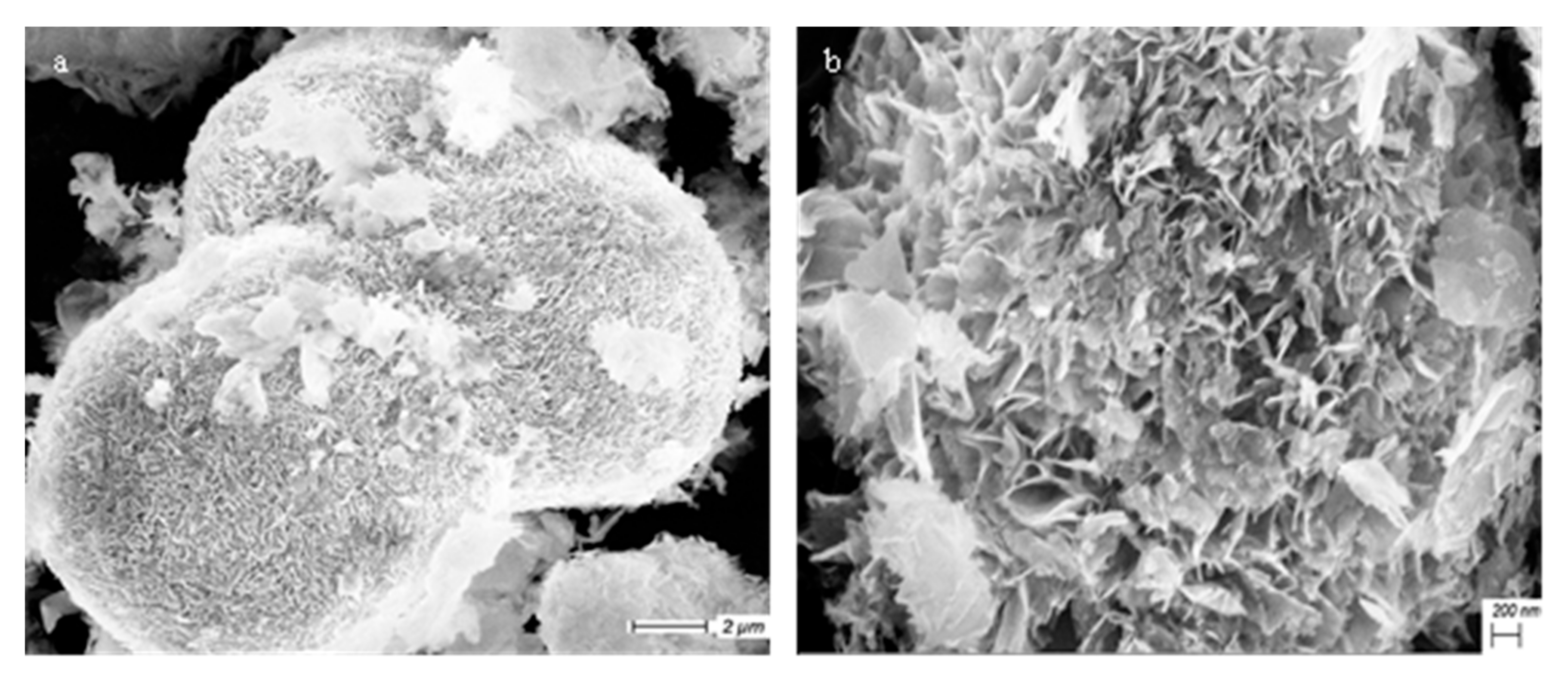 Crystals 11 01268 g009