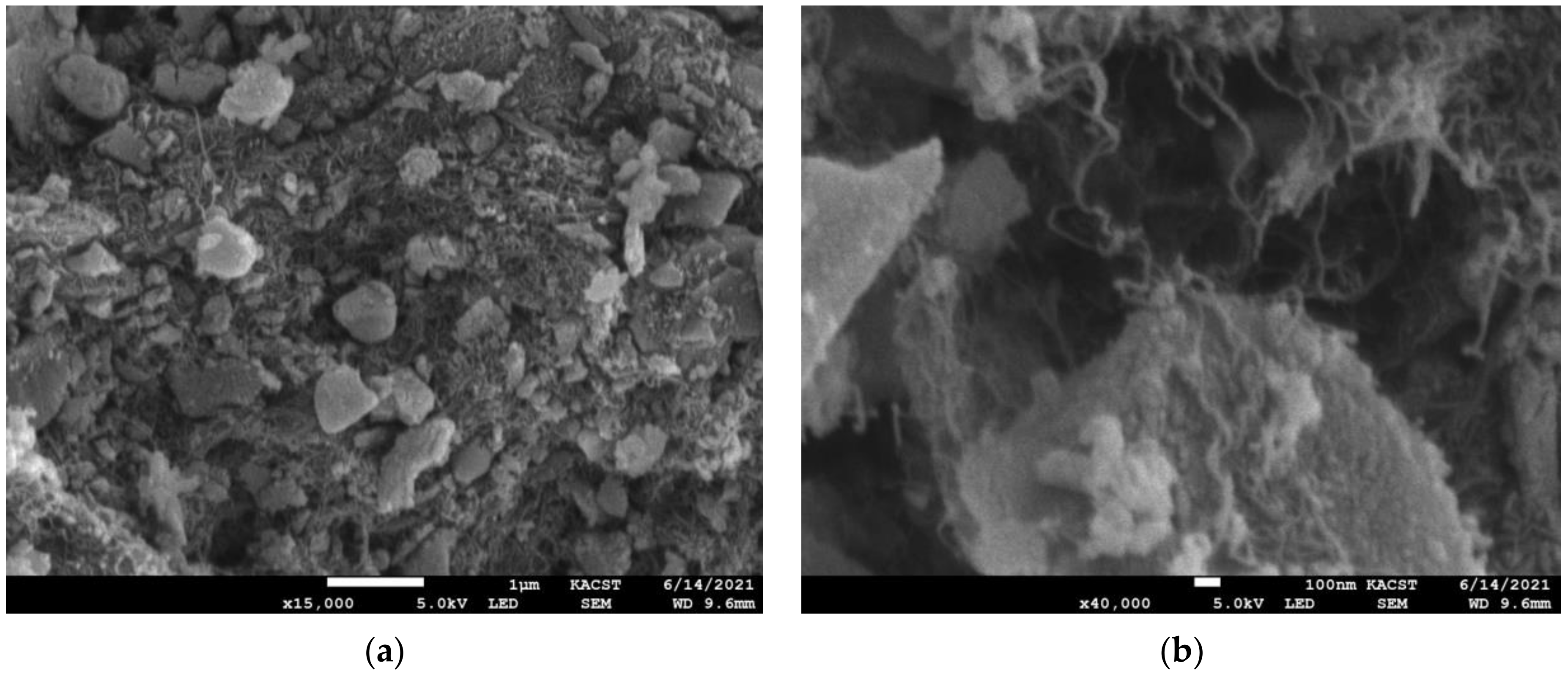 Crystals 11 01280 g004