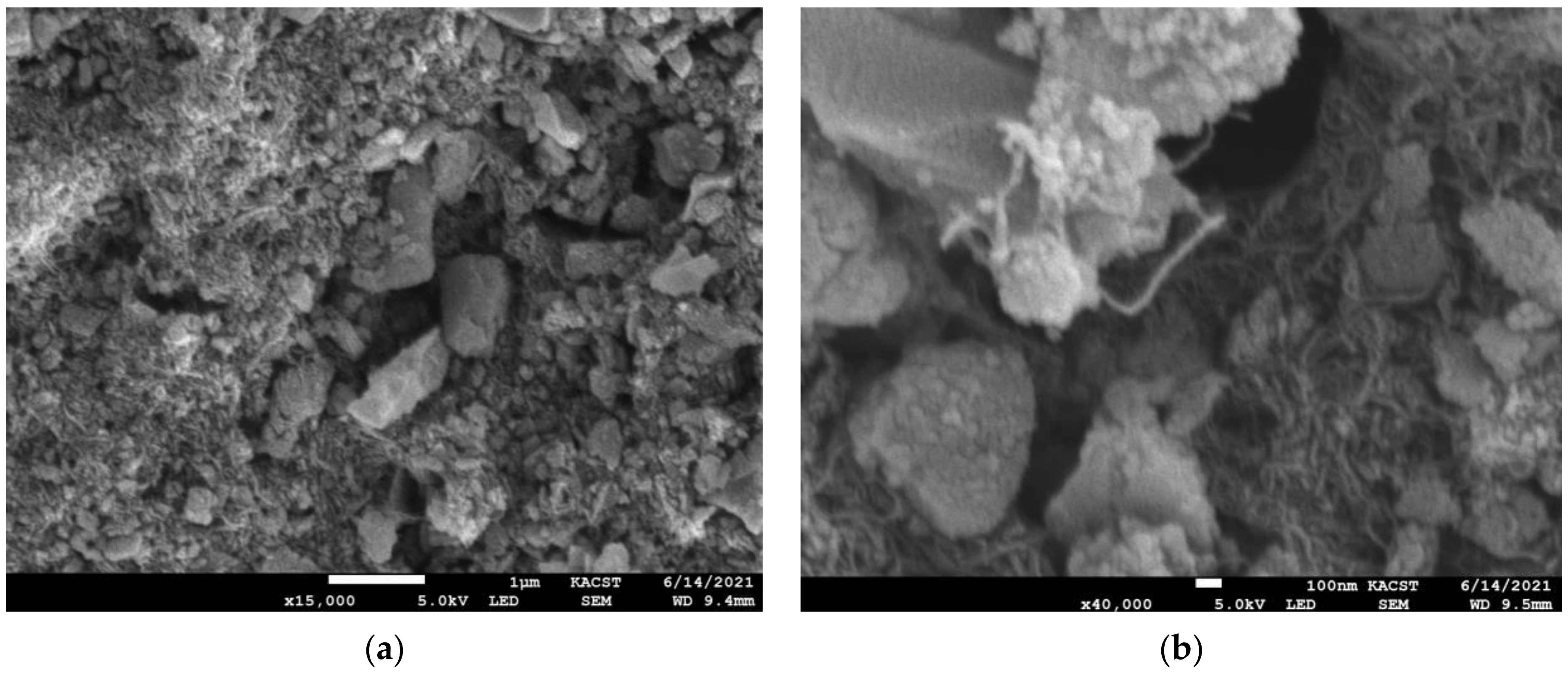 Crystals 11 01280 g005