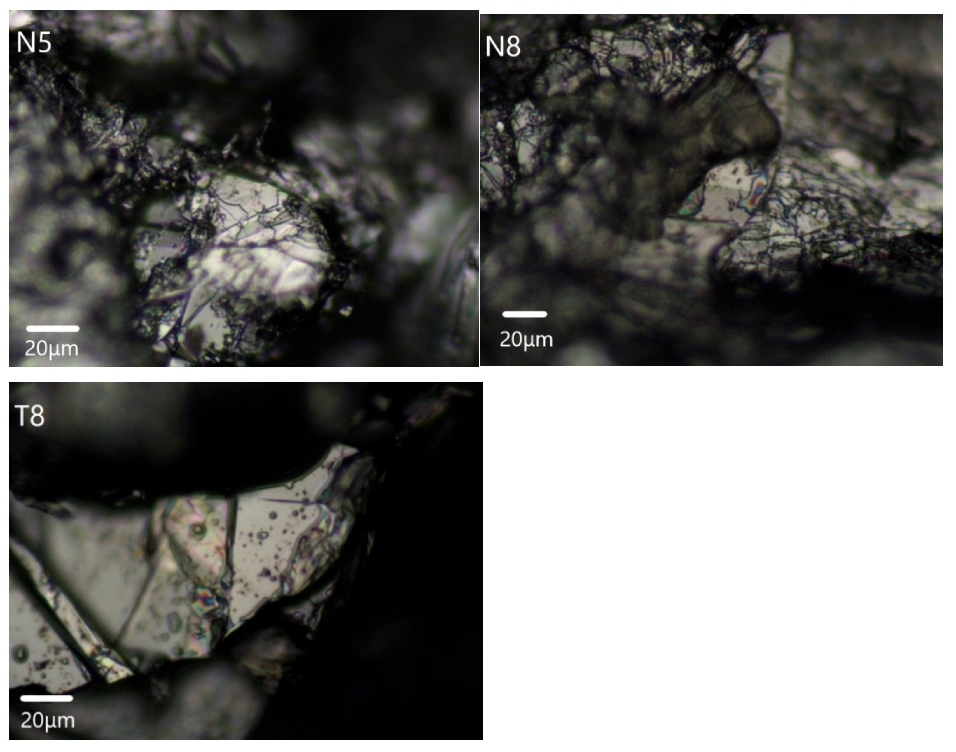 Crystals 11 01302 g008