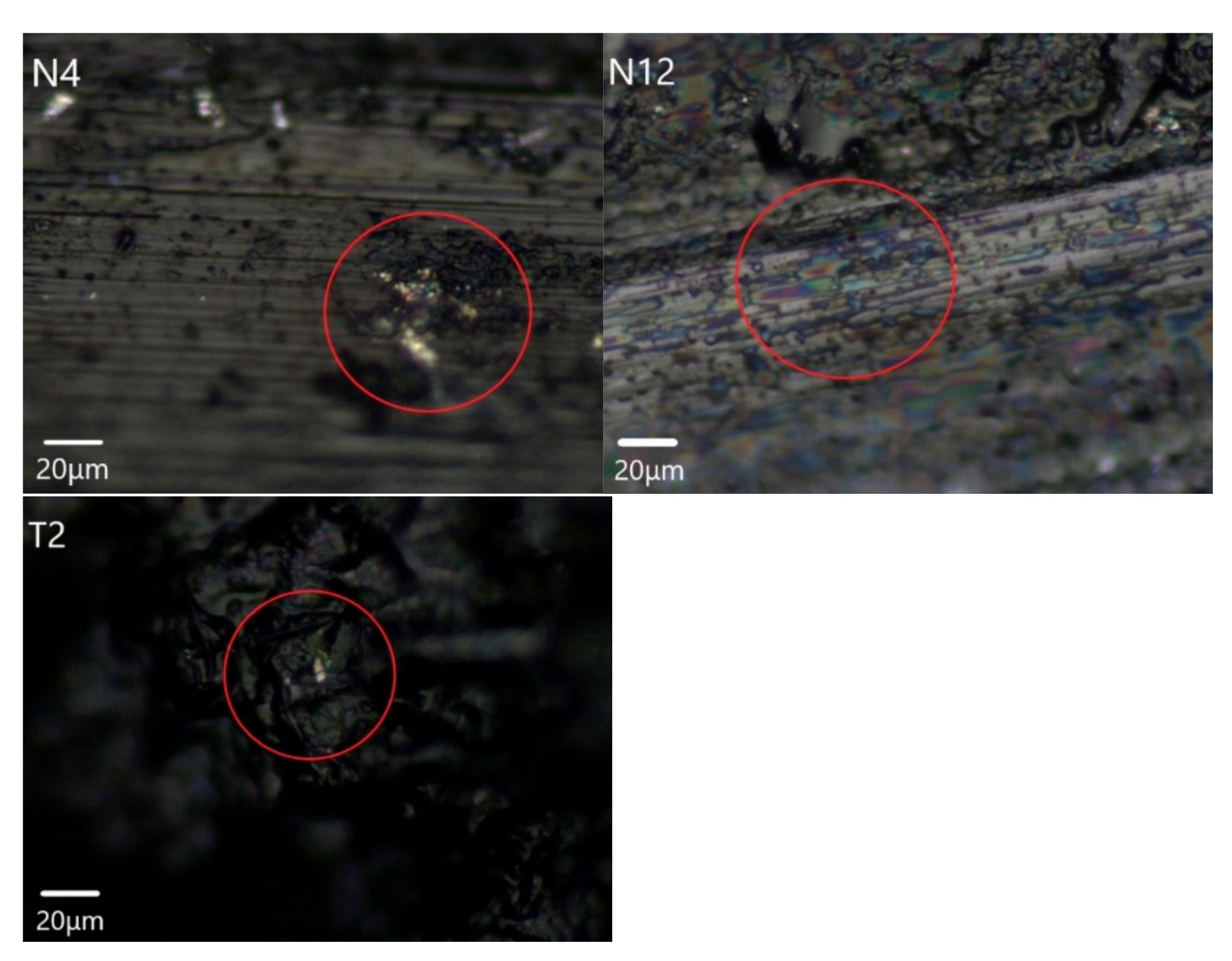 Crystals 11 01302 g010