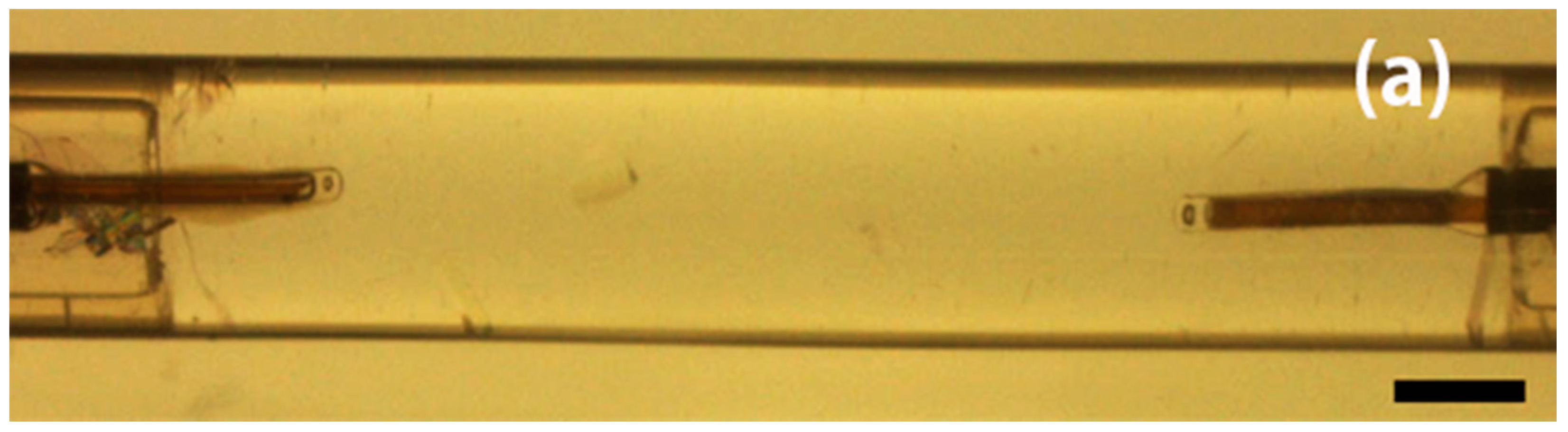 Crystals 11 01311 g005a 550