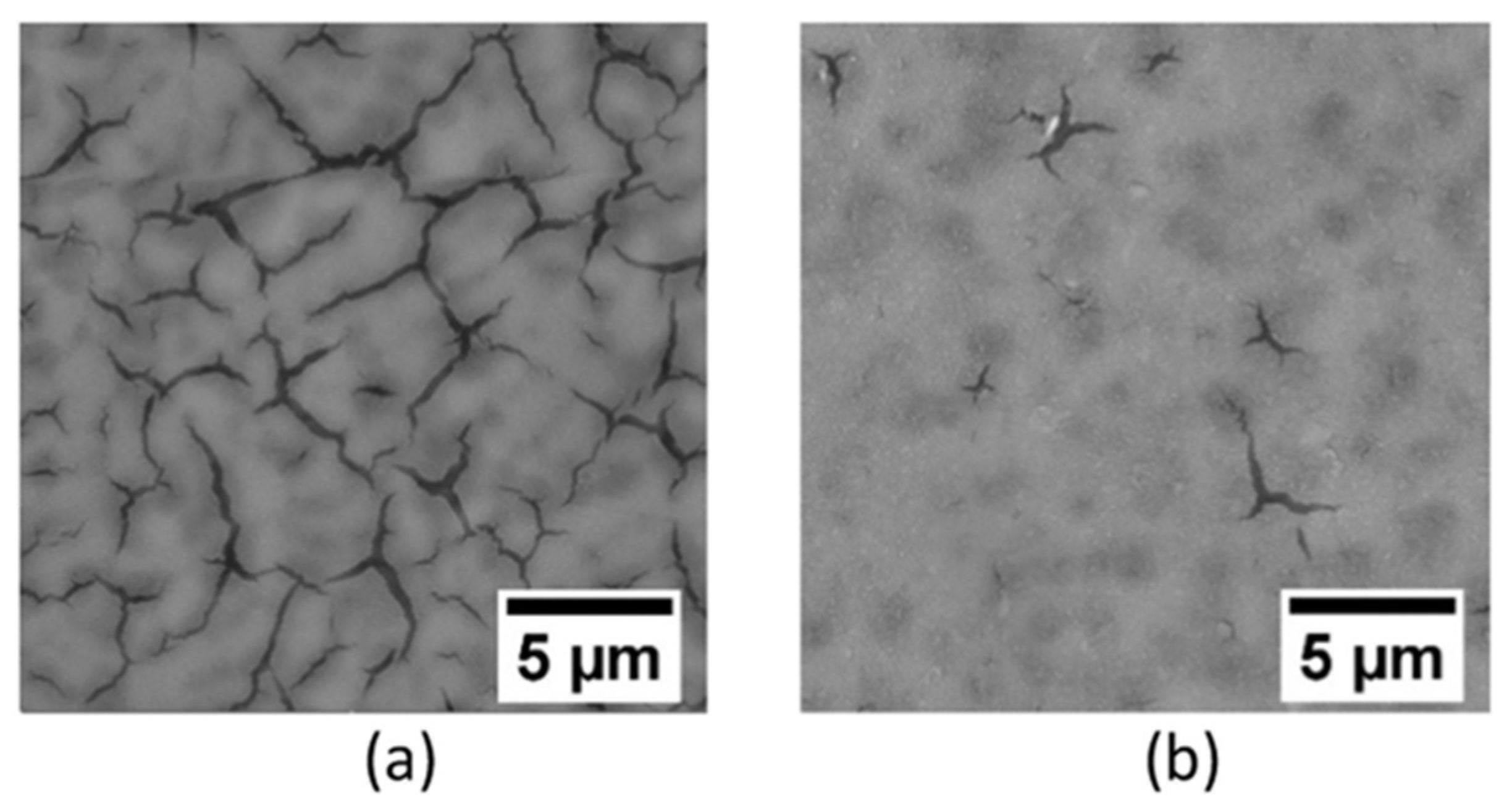Crystals 11 01317 g020 Crystals 11 01317 g020