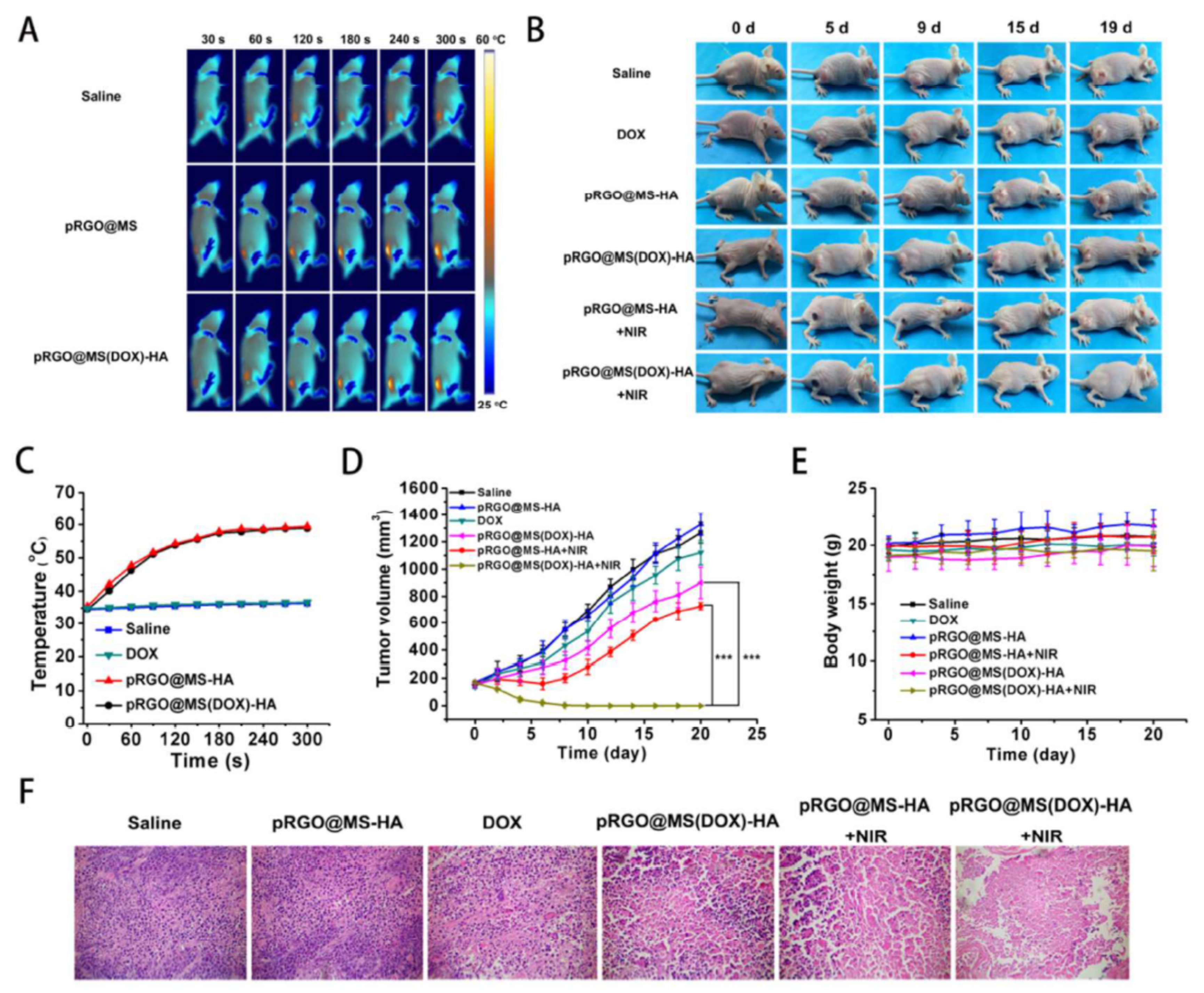 Crystals 11 01337 g007