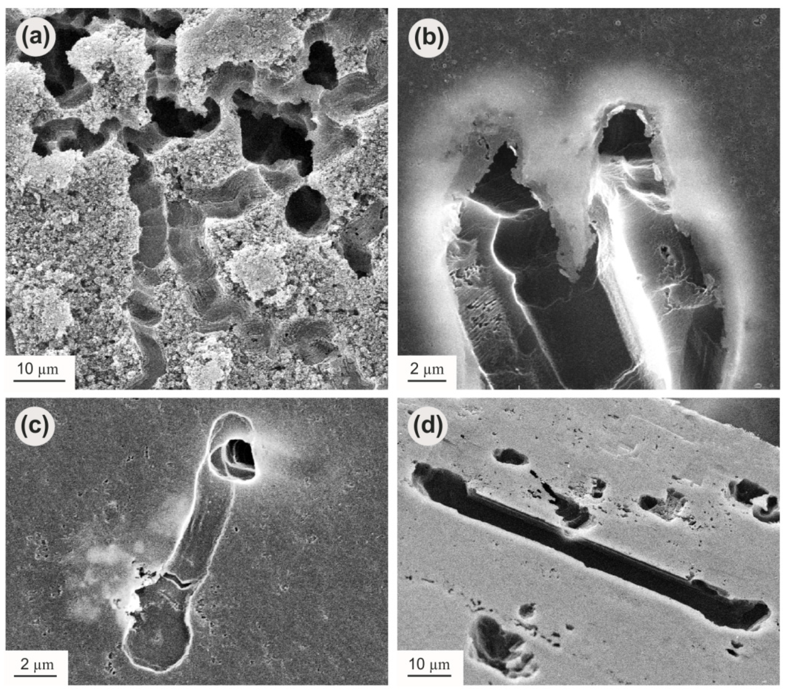 Crystals 11 01341 g005 Crystals 11 01341 g005