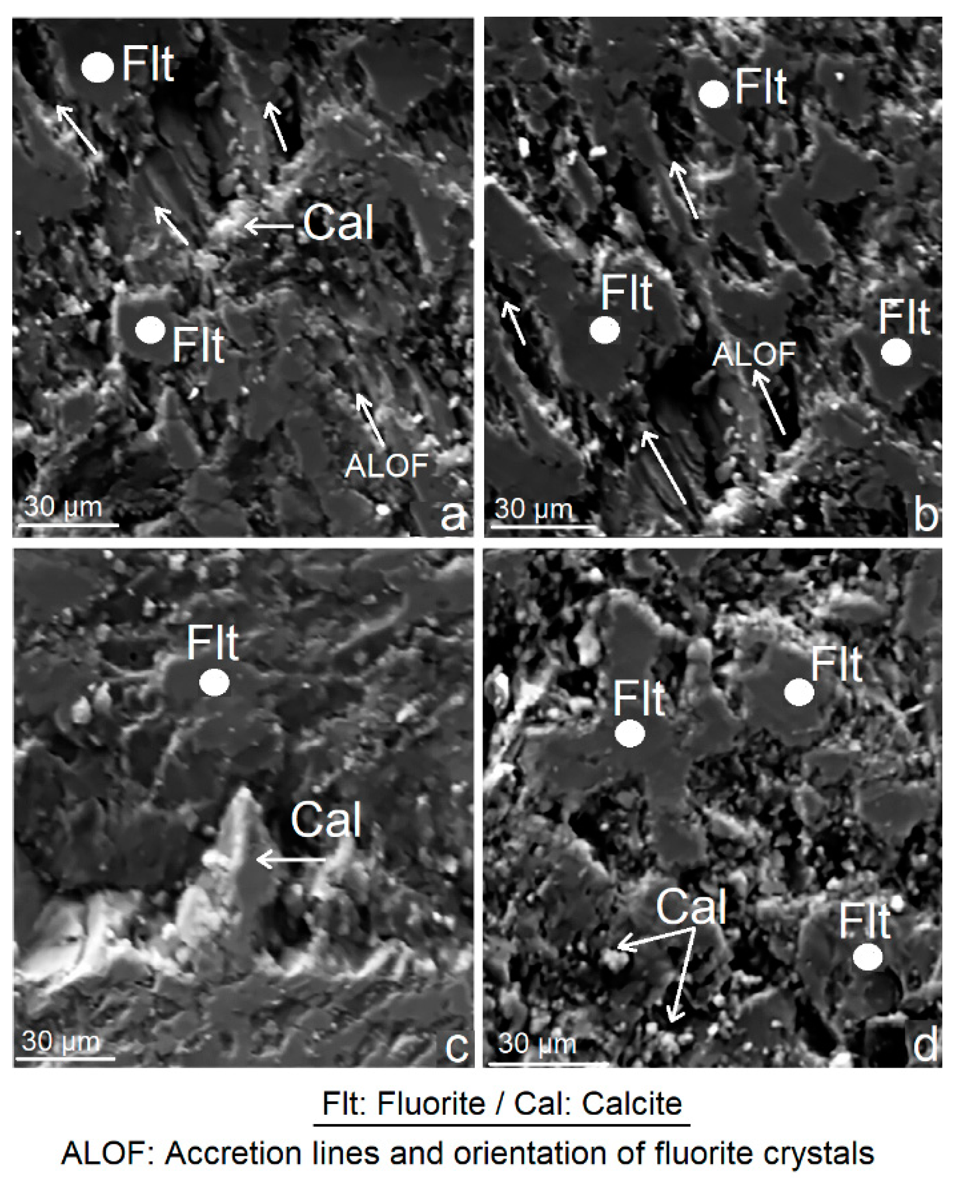 Crystals 11 01367 g002