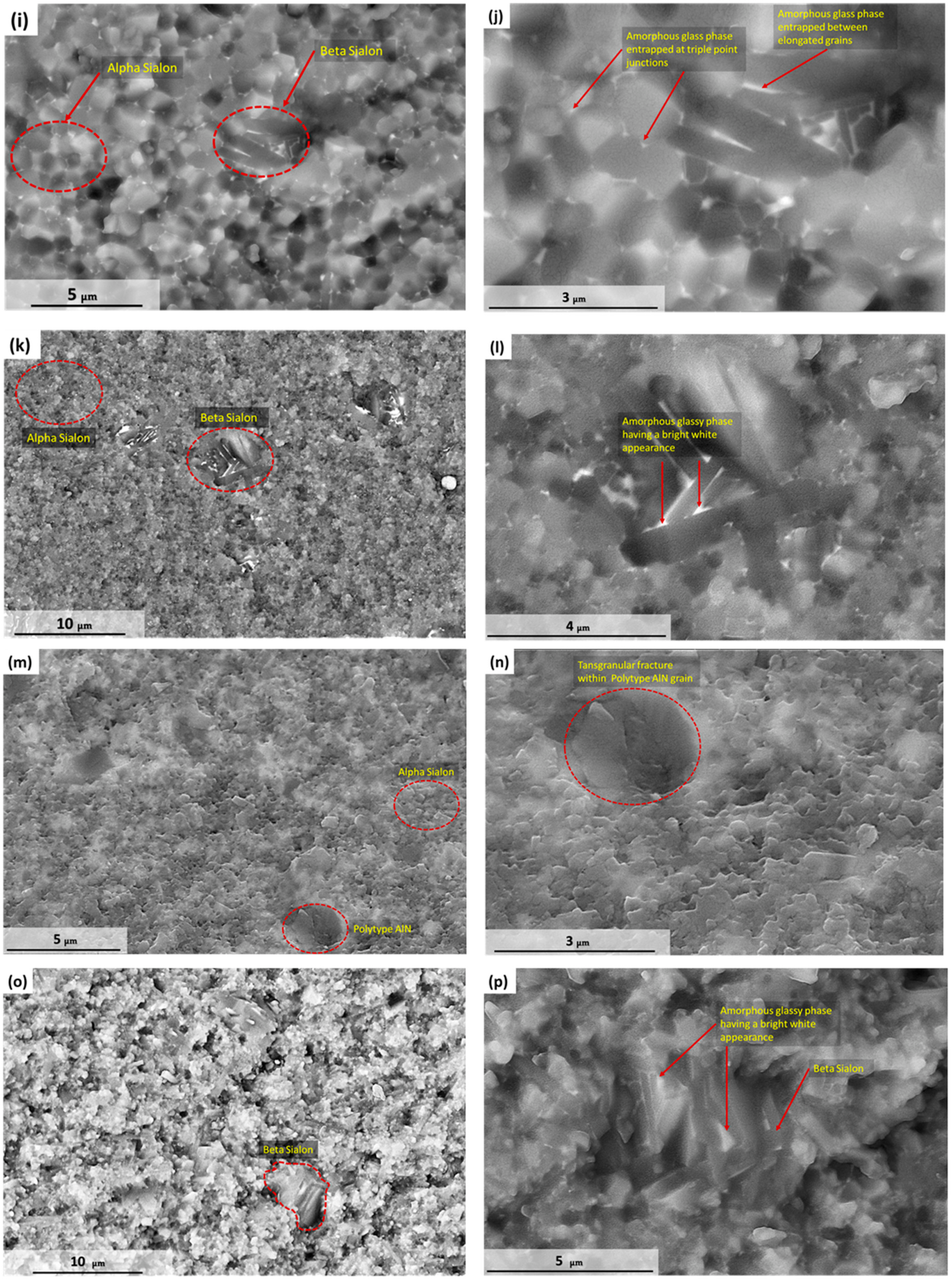 Crystals 11 01378 g003b 550