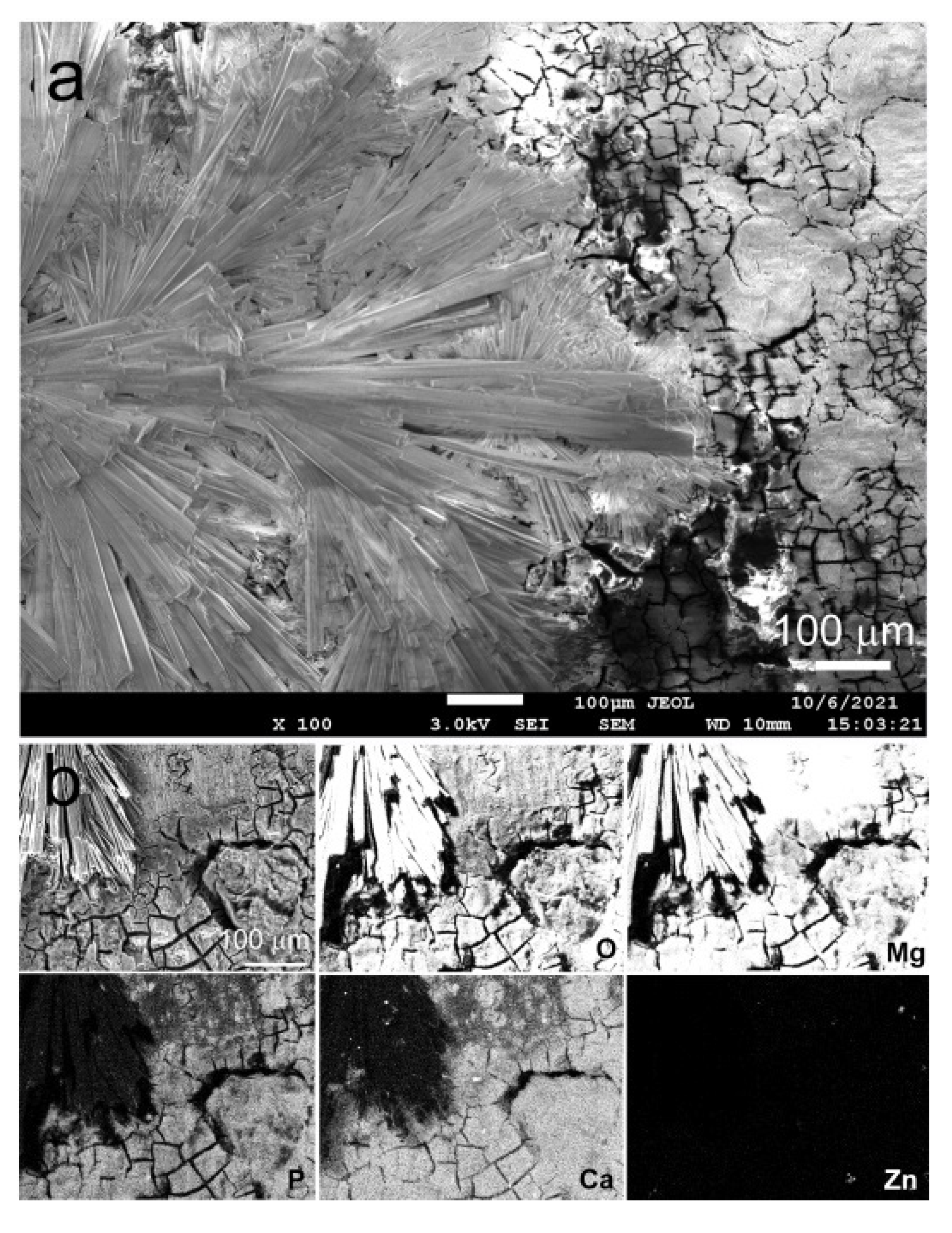 Crystals 11 01381 g003