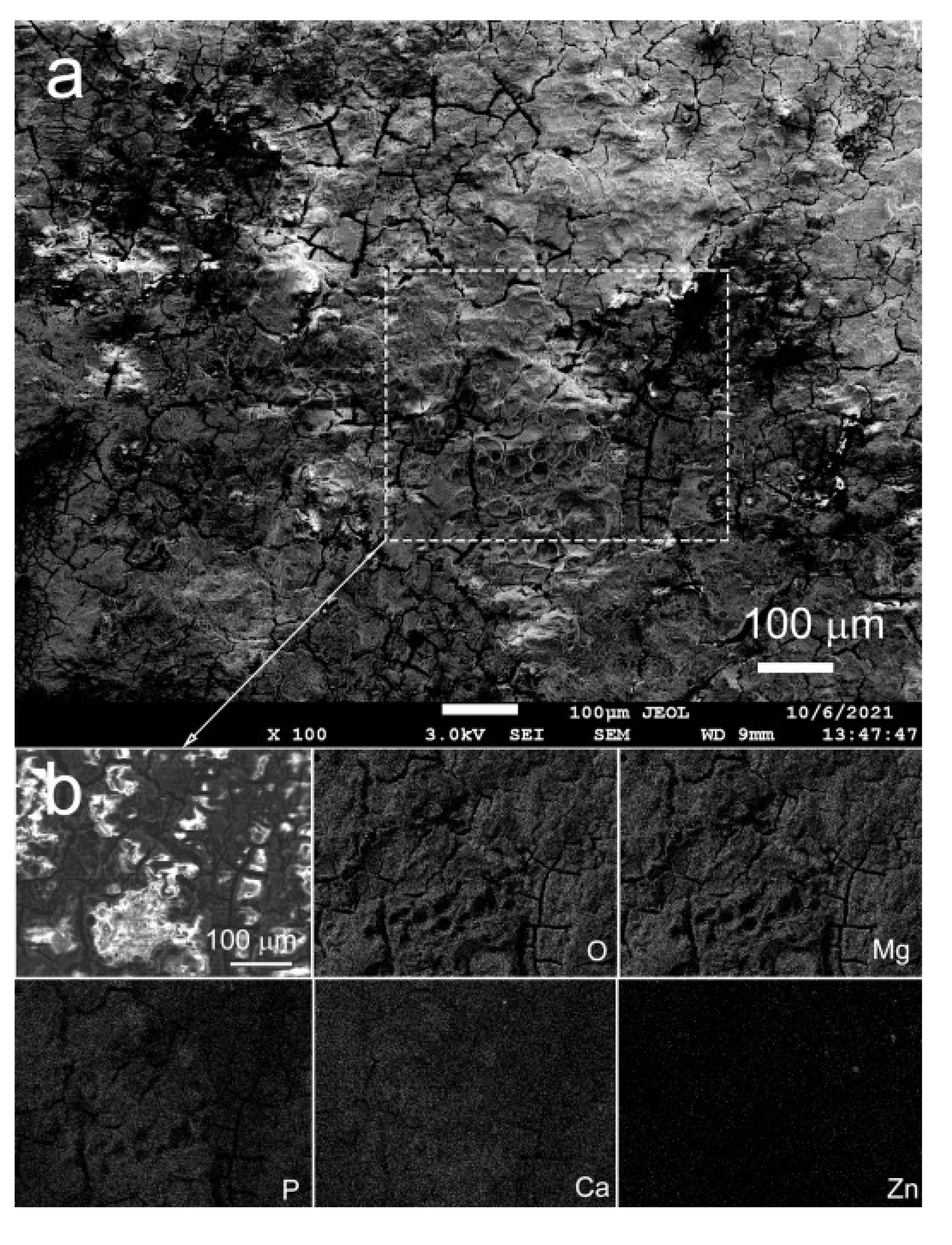 Crystals 11 01381 g004
