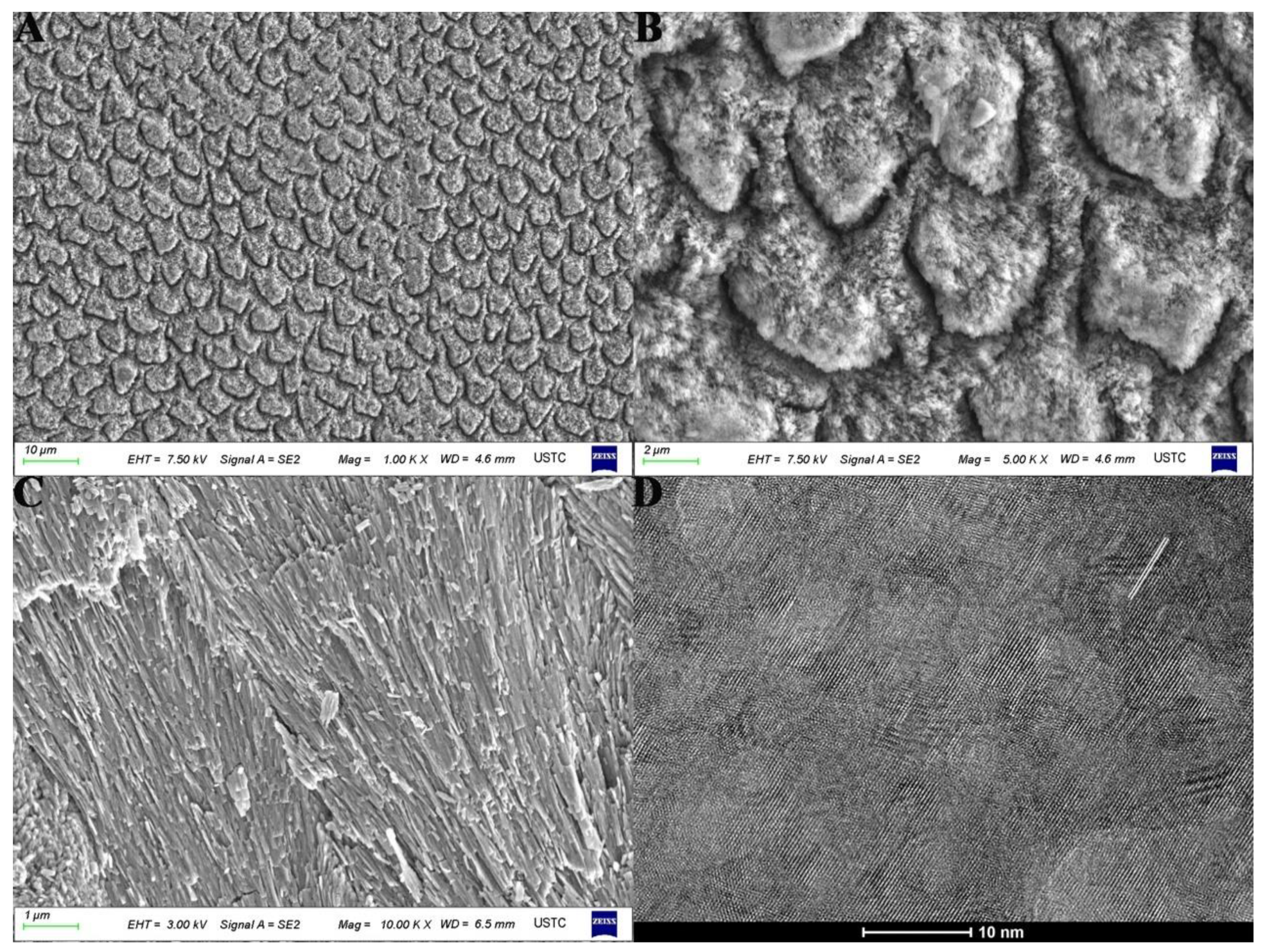 Crystals 11 01385 g001