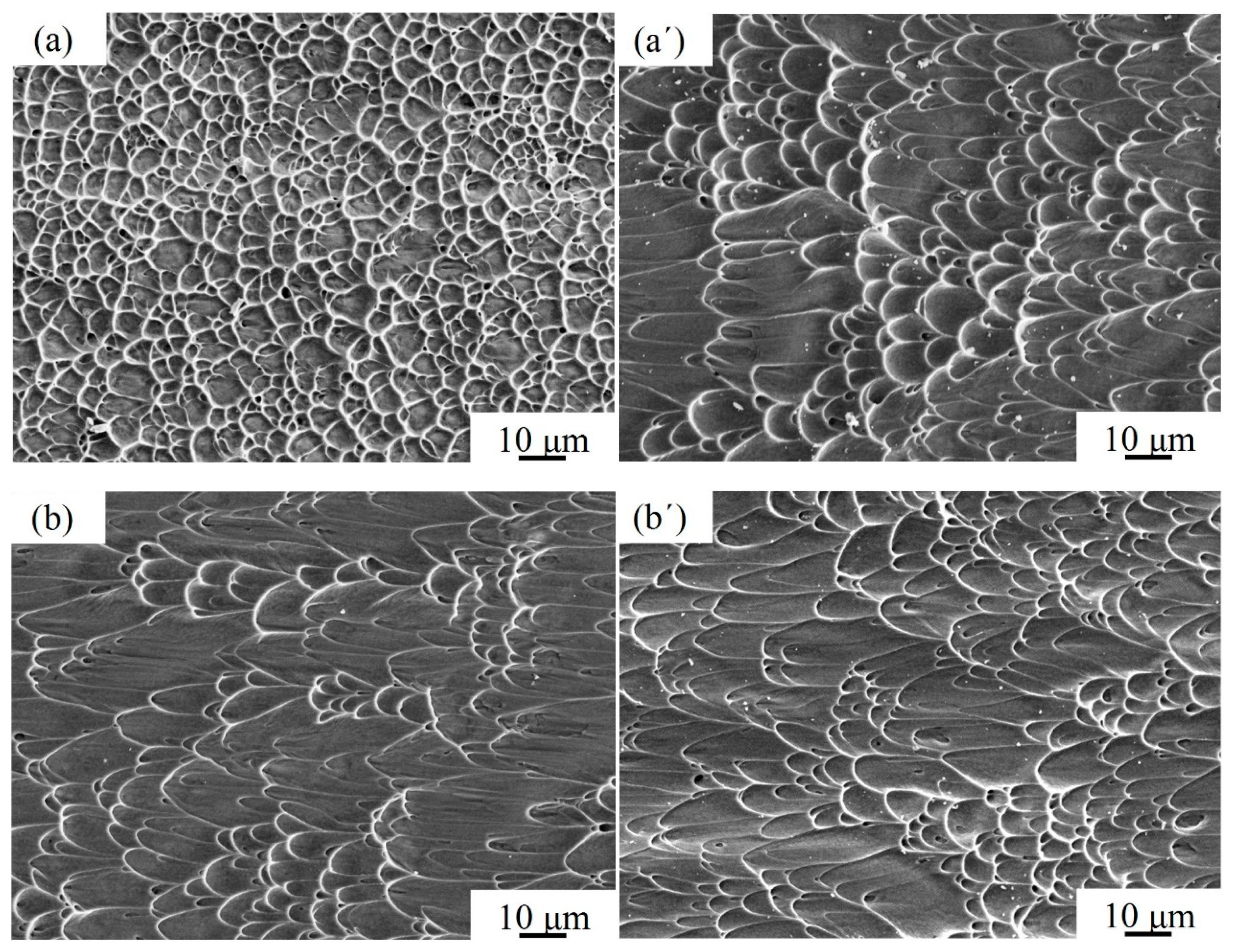 Crystals 11 01395 g011