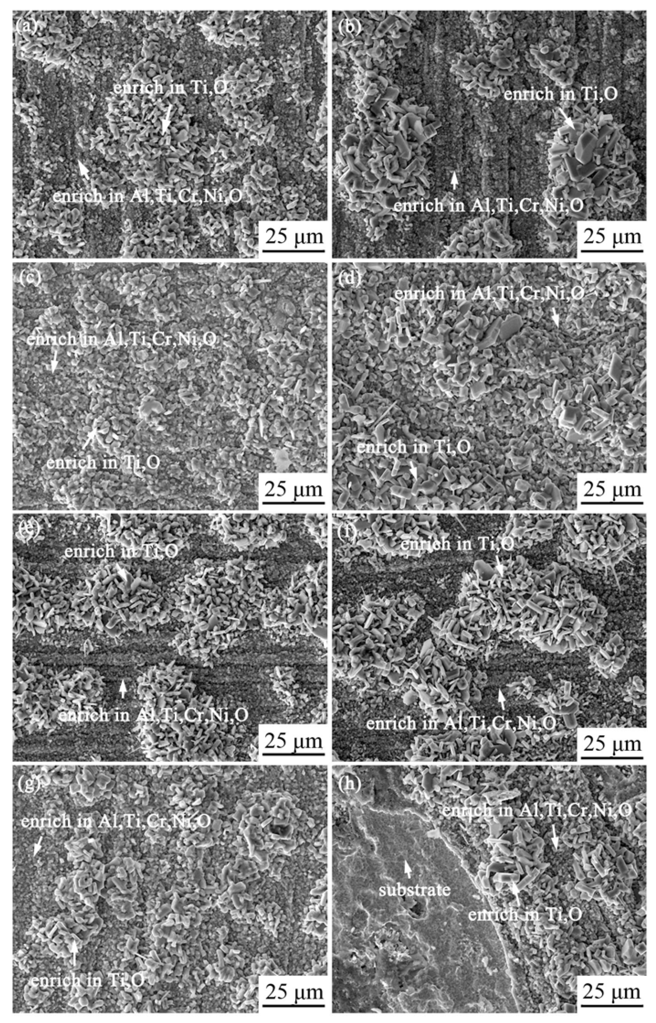 Crystals 11 01421 g008